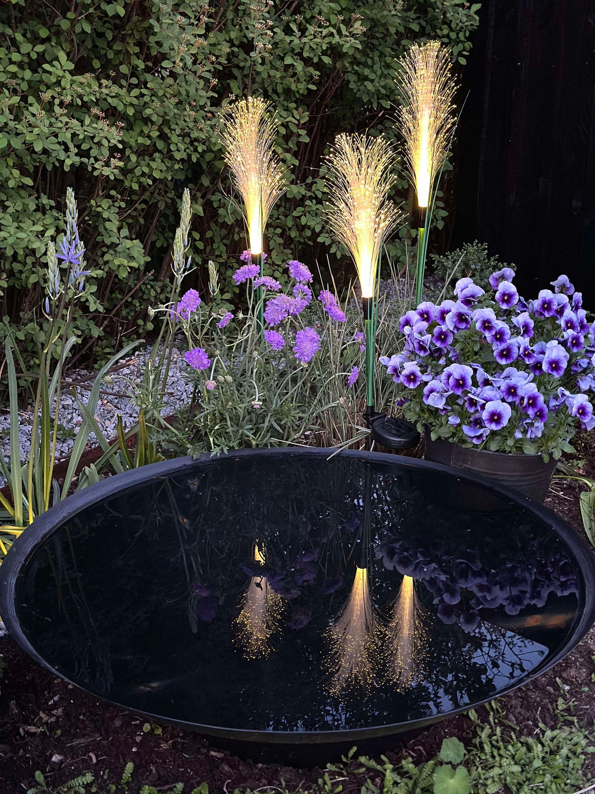 Pampas met zonnecellen