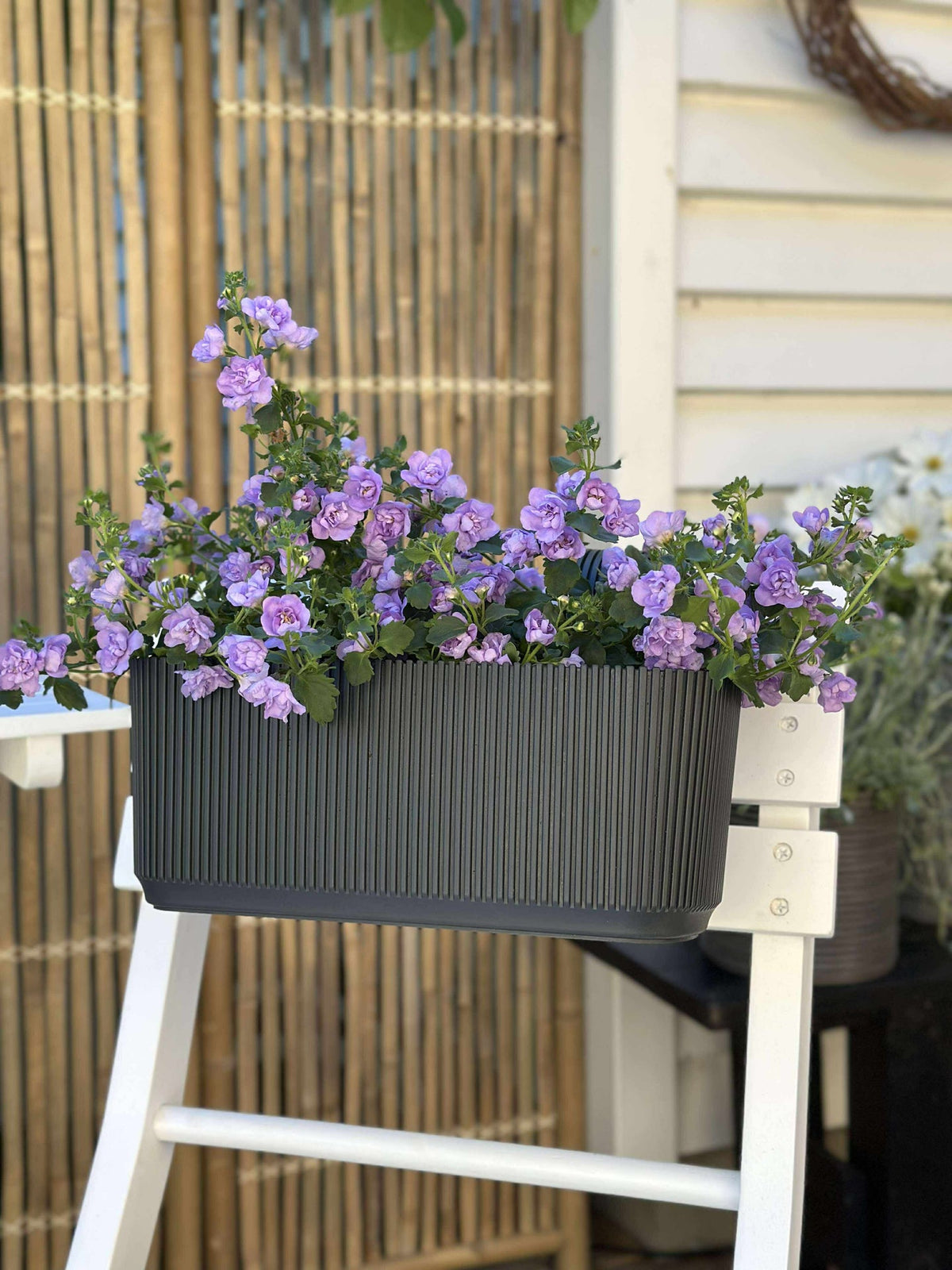 Plantenbak met ophanging - Antraciet