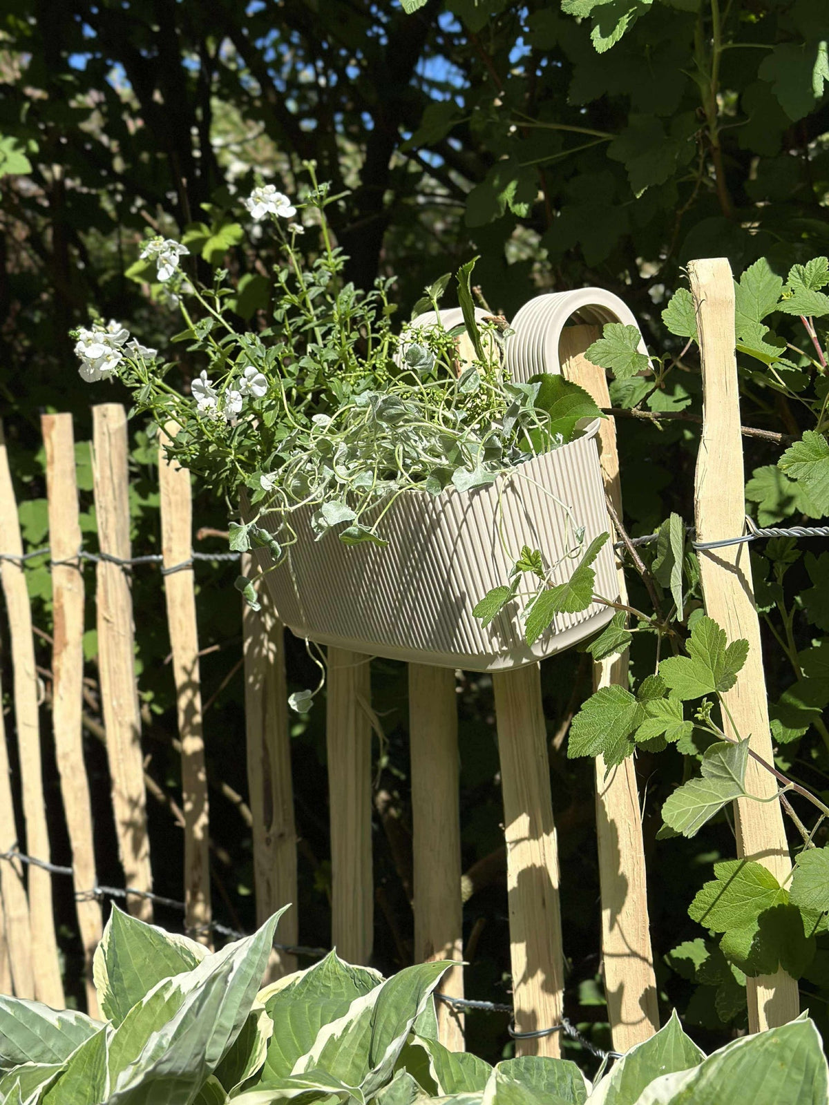 Plantenbak met ophangsysteem – Crème