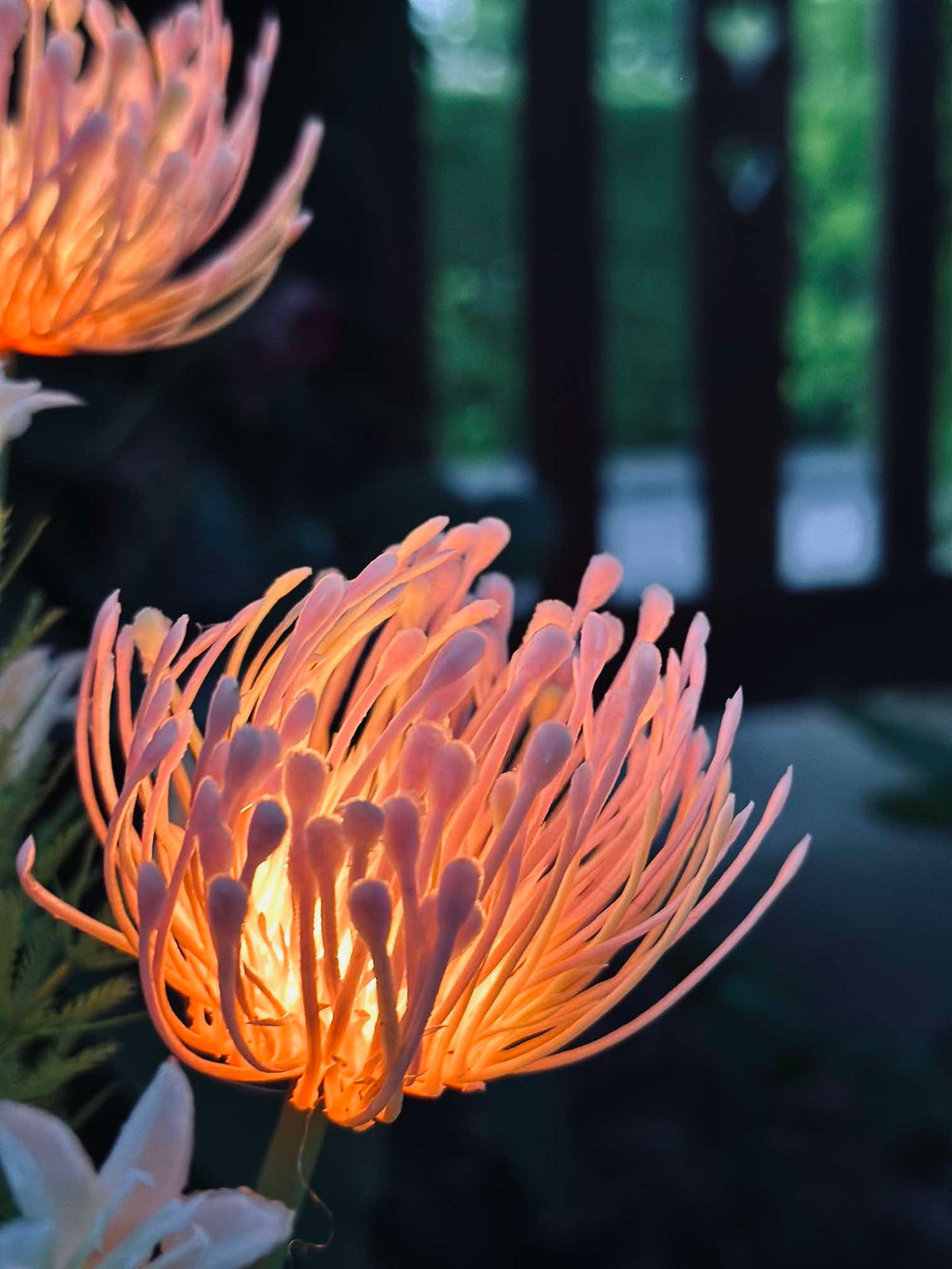 Bloem met zonnecellen - Spider Lili rose
