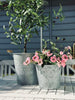 Plantenemmer - Zink small
