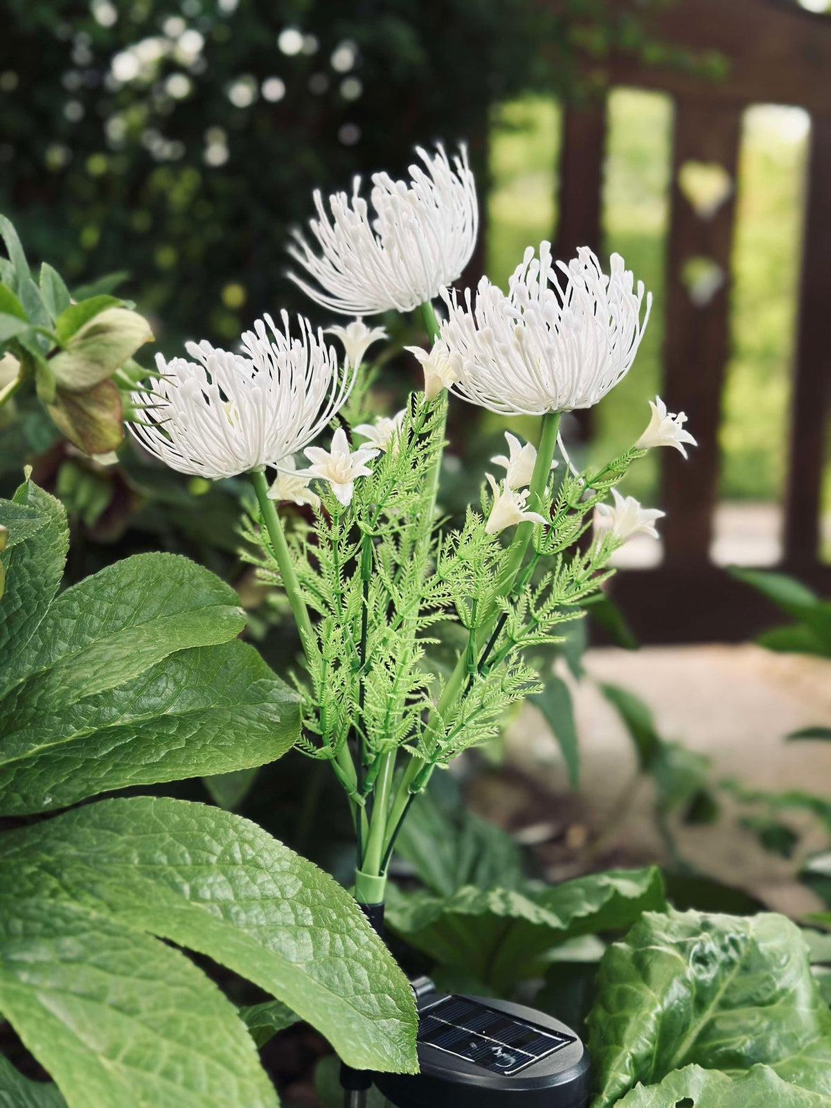 Bloem op zonne-energie - Spider Lili wit