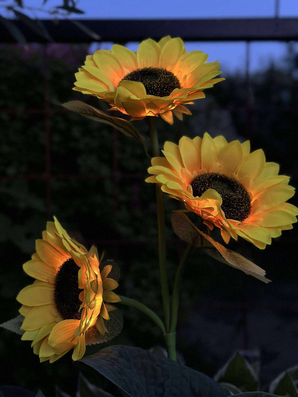 Zonnebloem op zonne-energie
