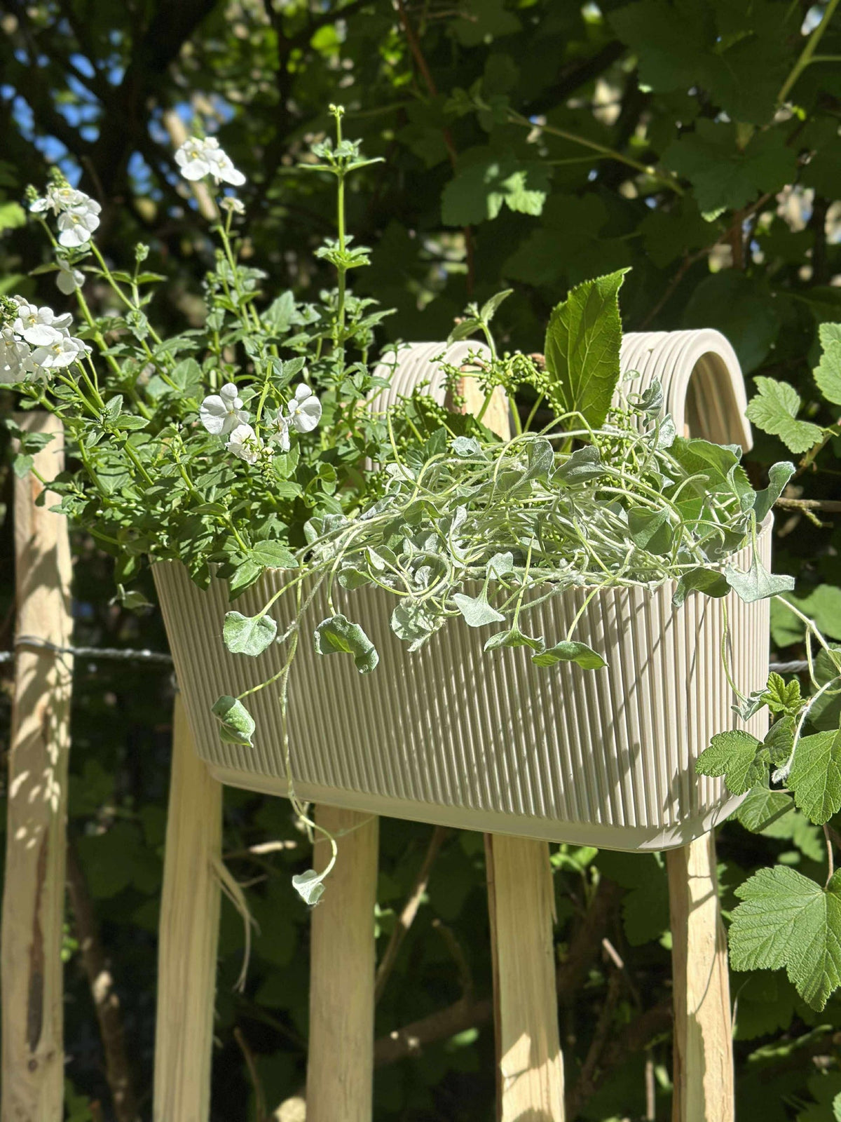 Plantenbak met ophangsysteem – Crème