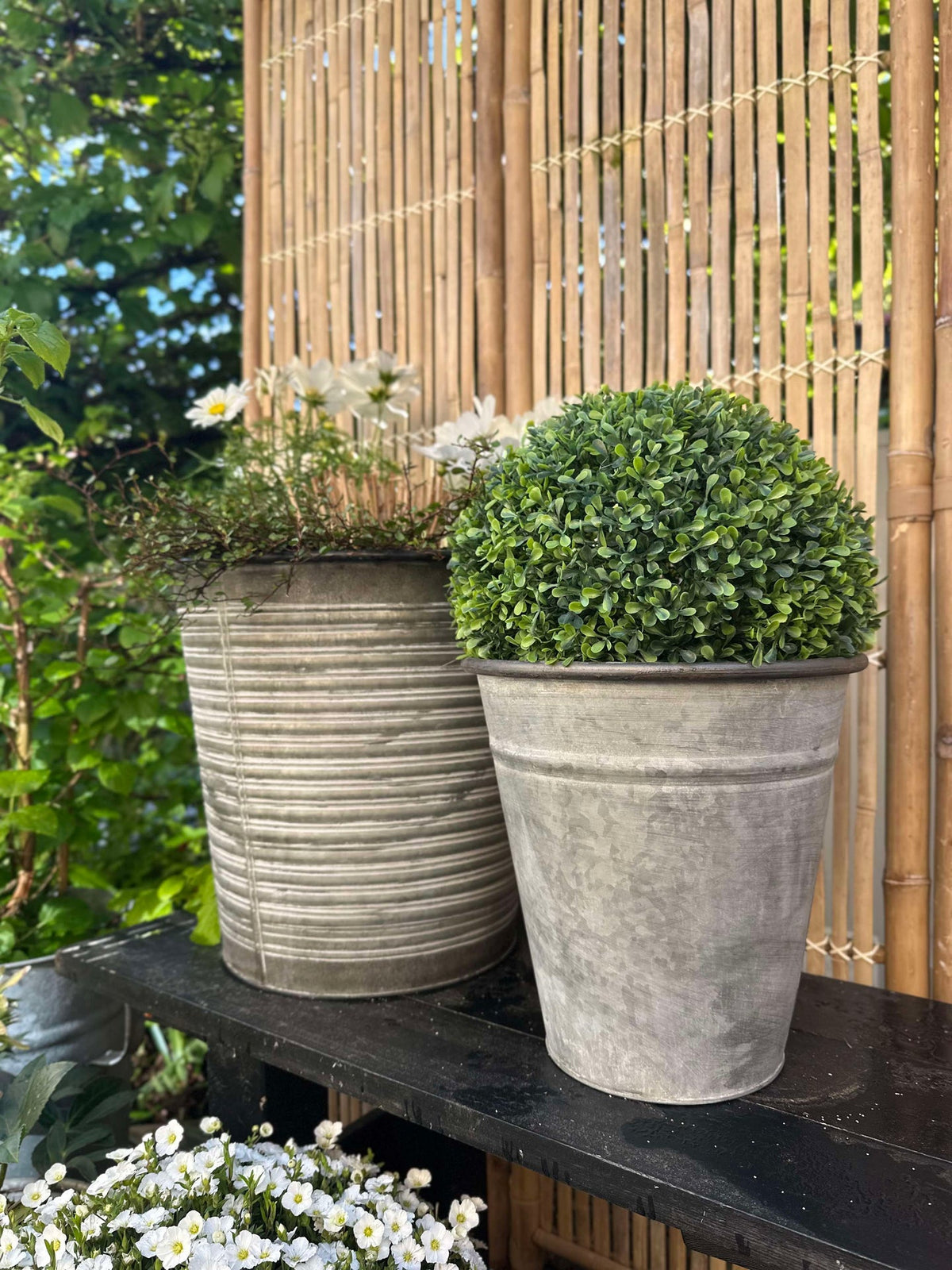 Buxusbal 30cm