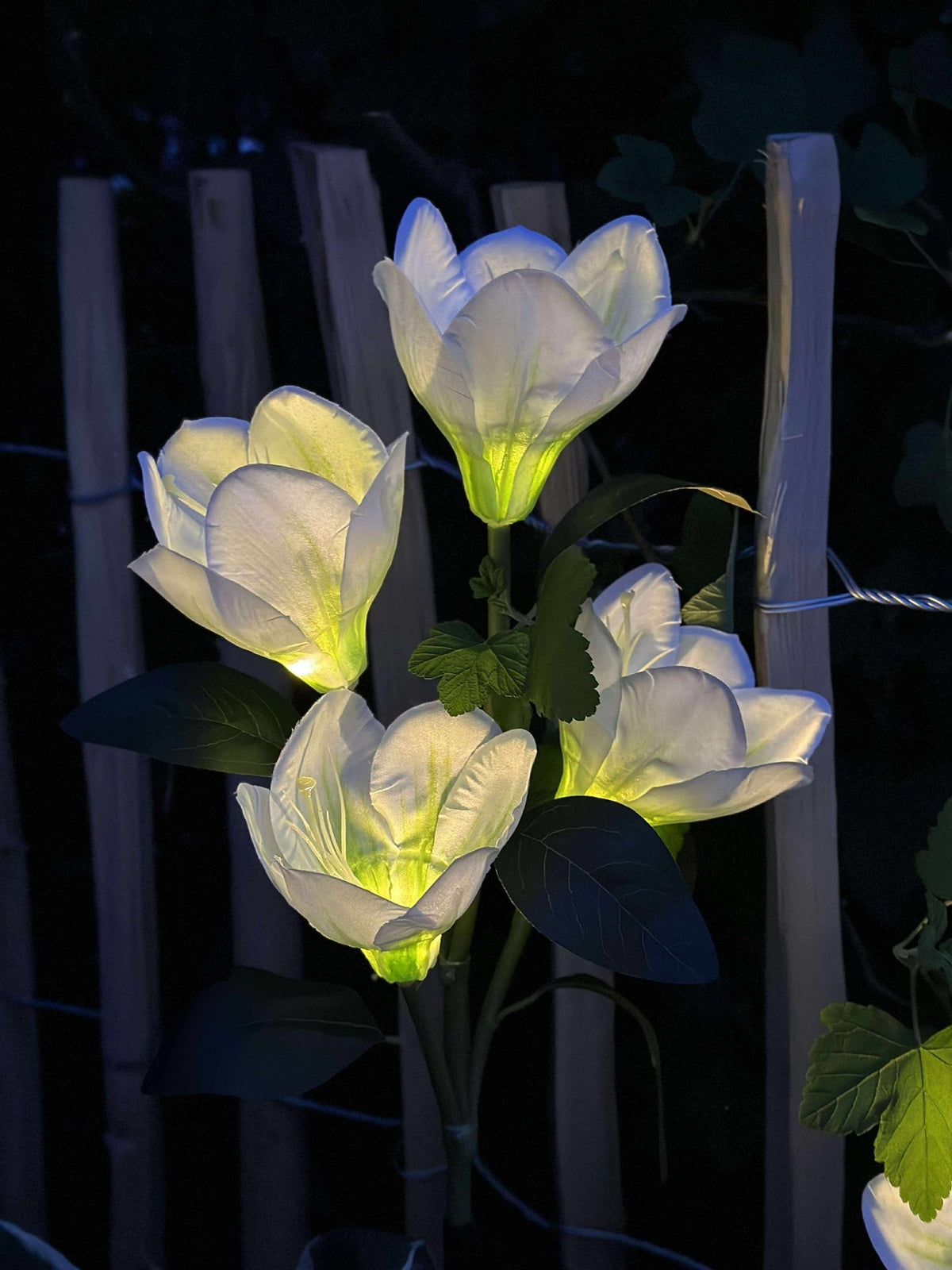 Magnolia met zonnepanelen - Wit