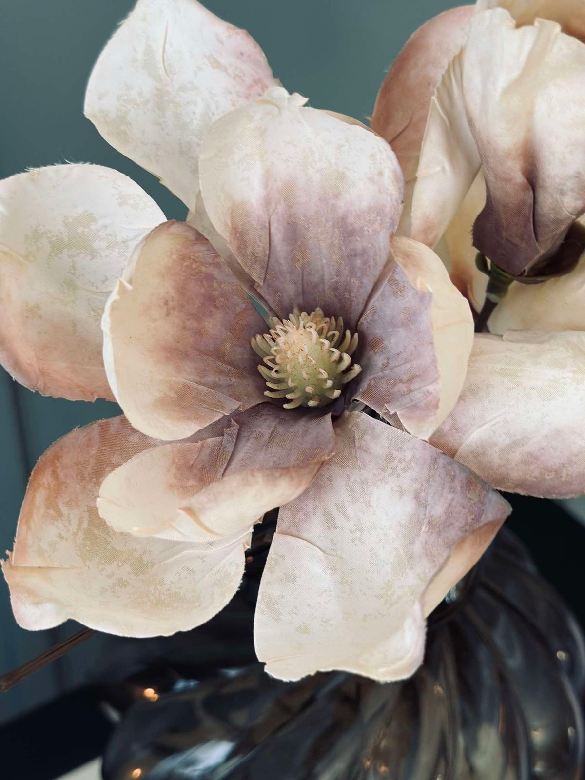 Magnoliatak