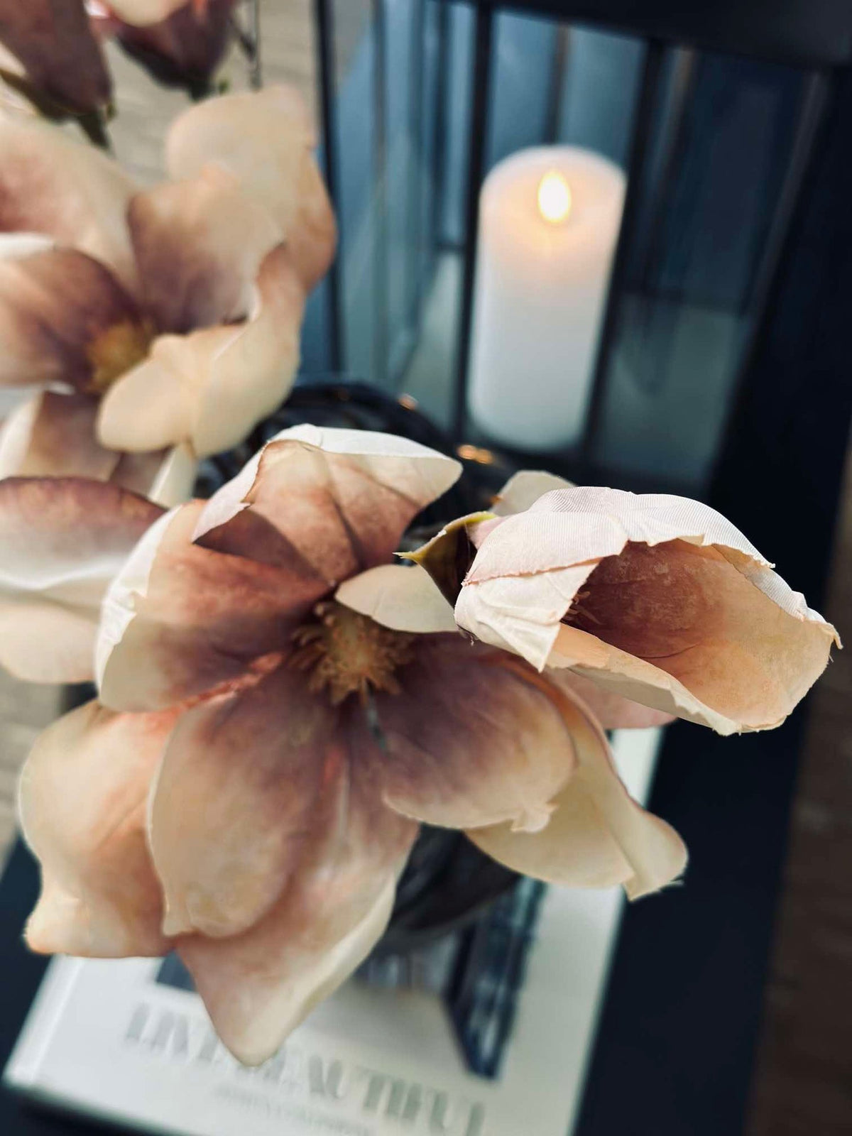 Magnoliatak