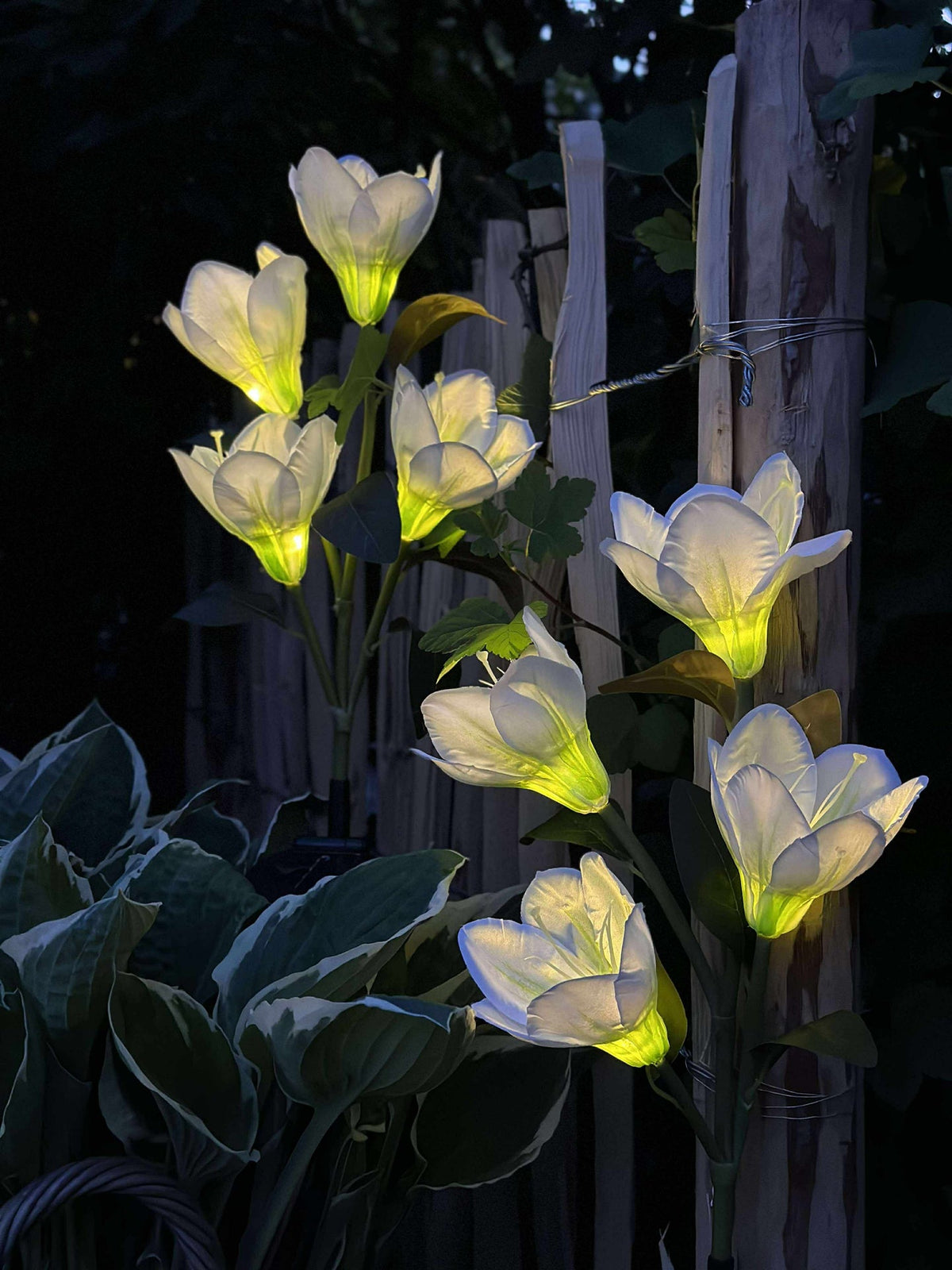 Magnolia met zonnepanelen - Wit