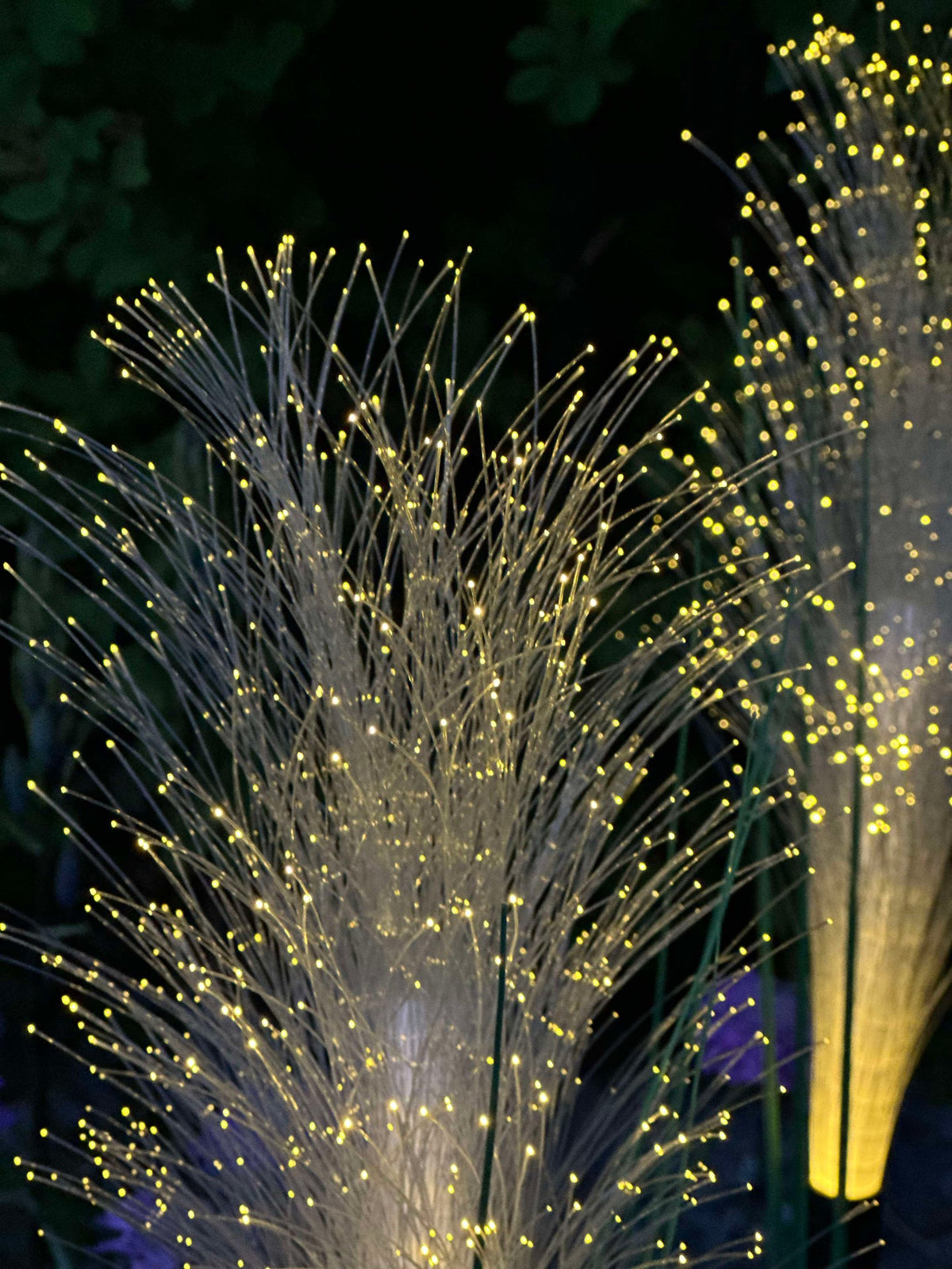 Pampas met zonnecellen