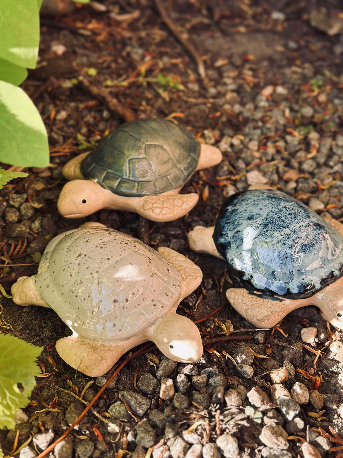 Schildpad MIX