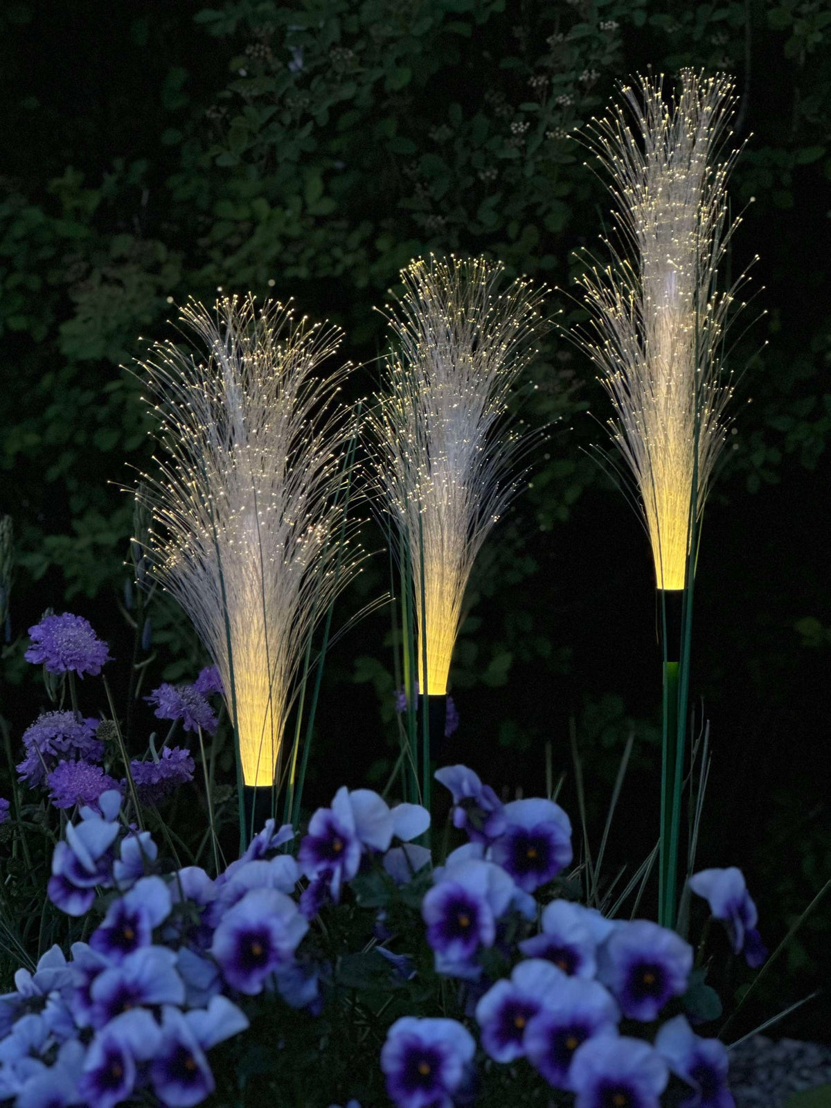 Pampas met zonnecellen