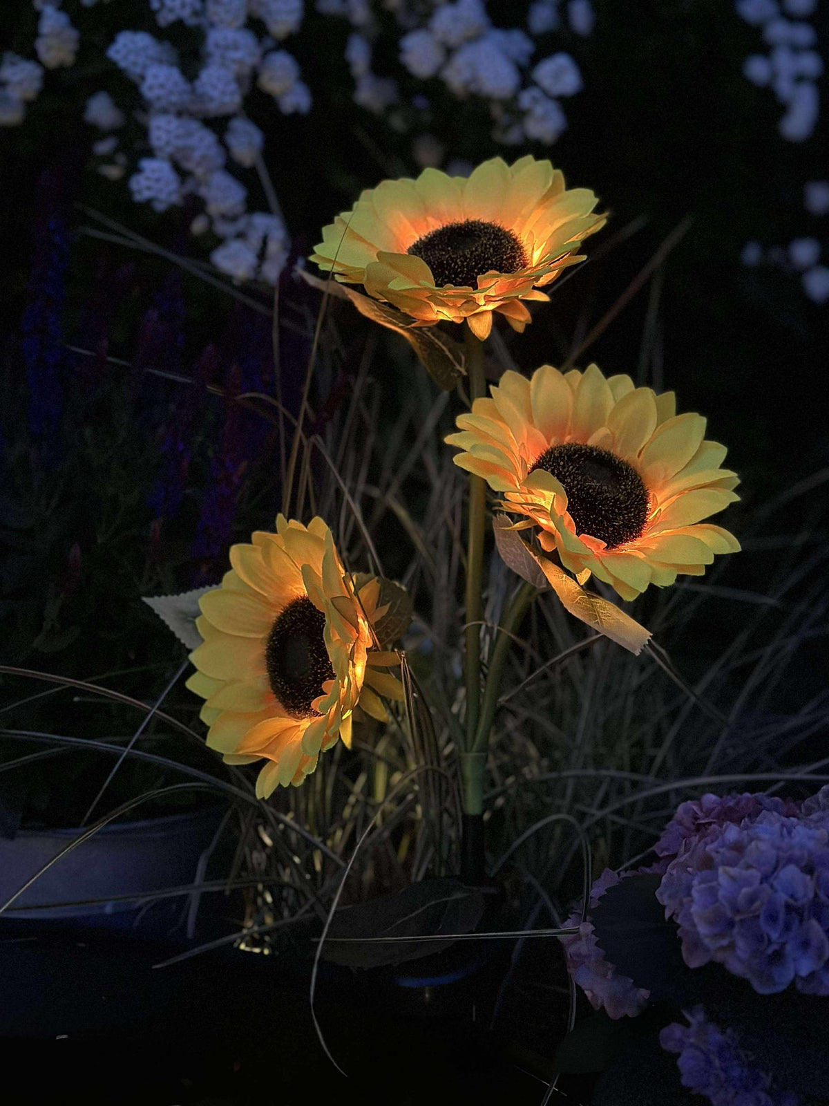 Zonnebloem op zonne-energie