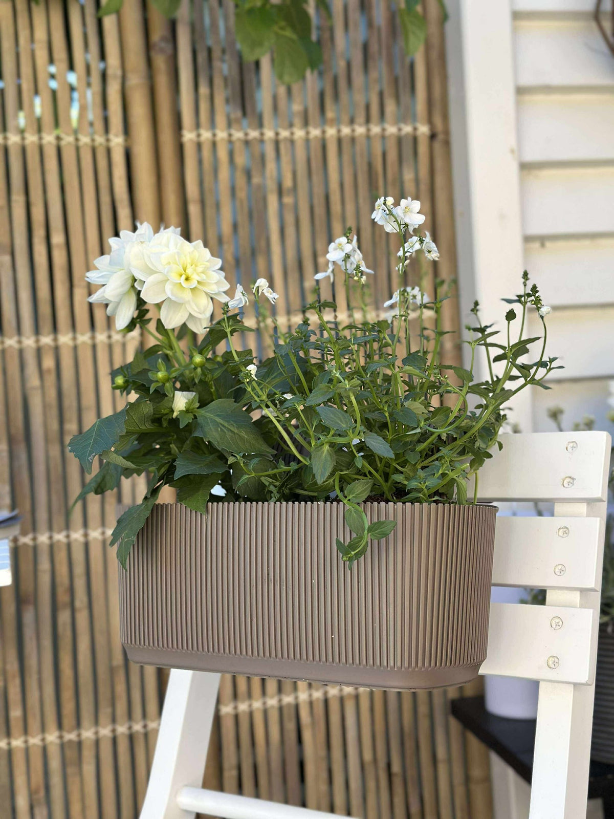 Plantenbak met ophanging - Beige