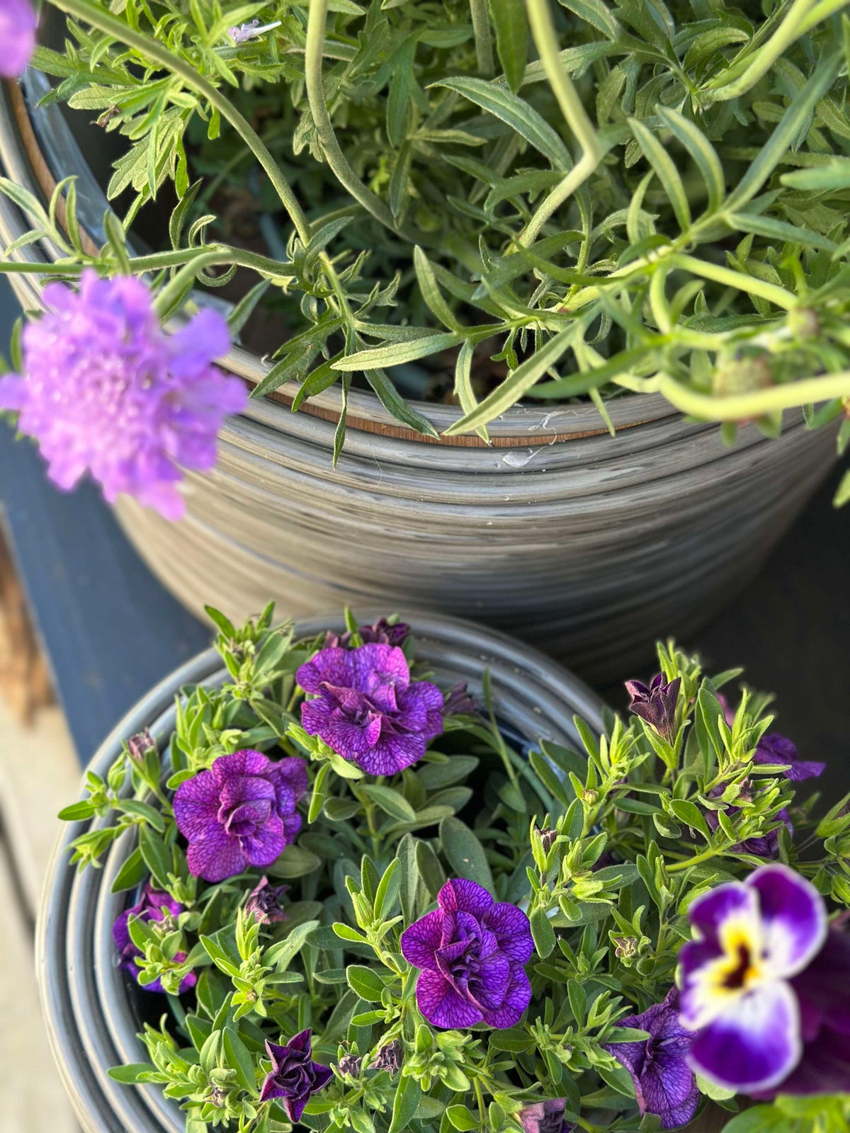 Plantenmand Grijs - Set van 3 stuks