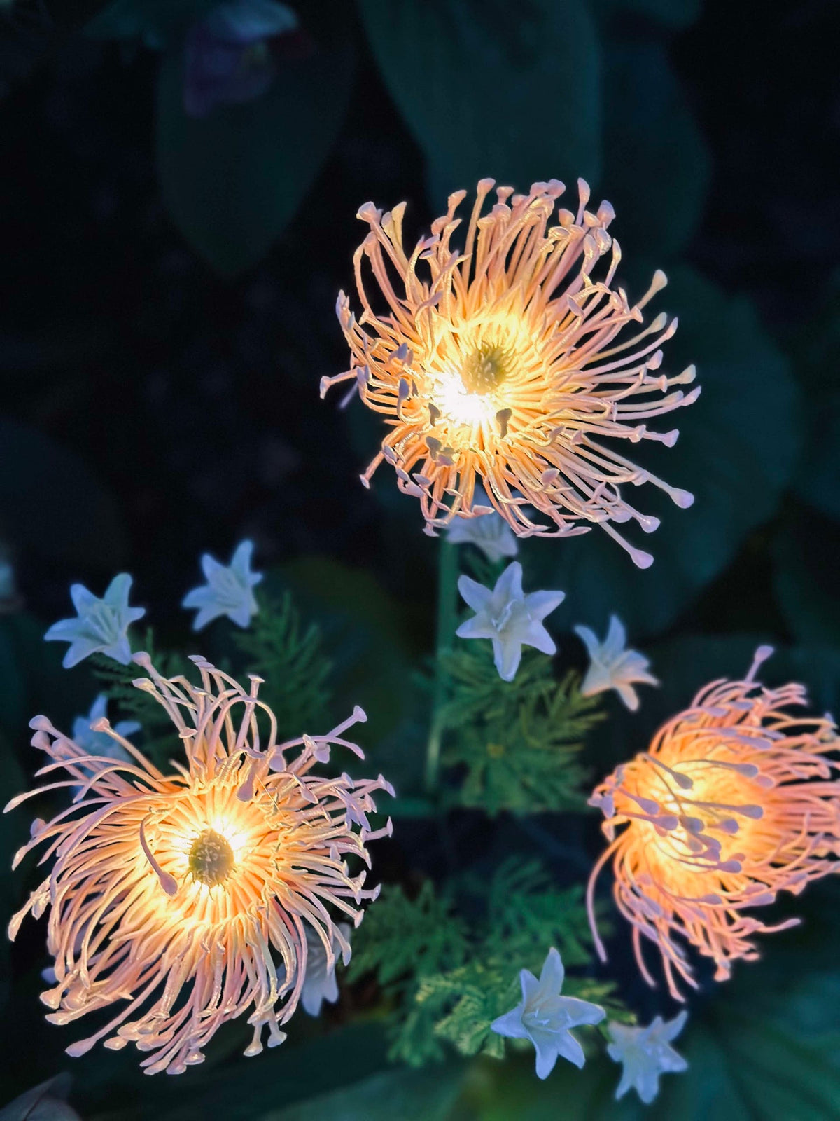 Bloem met zonnecellen - Spider Lili rose