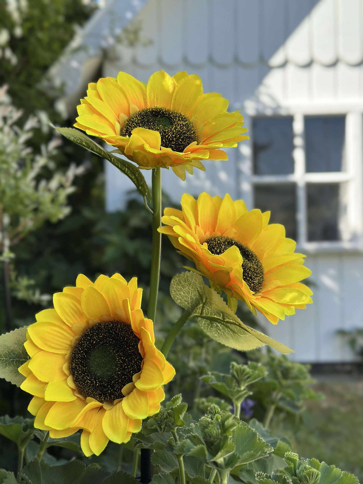 Zonnebloem op zonne-energie