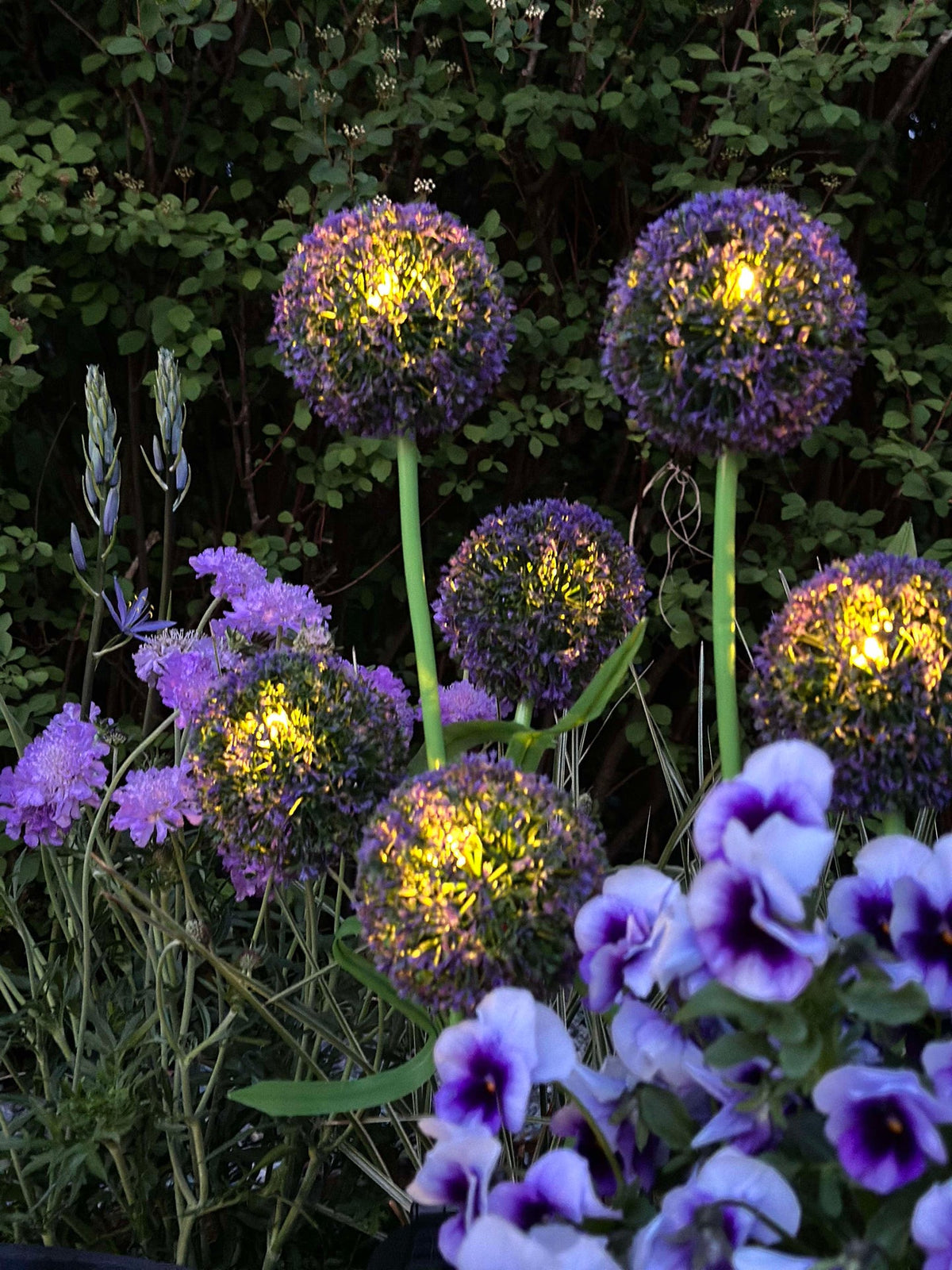 Sierui op zonne-energie – Blauw