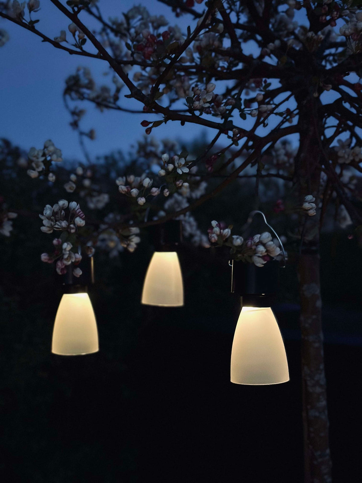 Mini lamp op zonne-energie