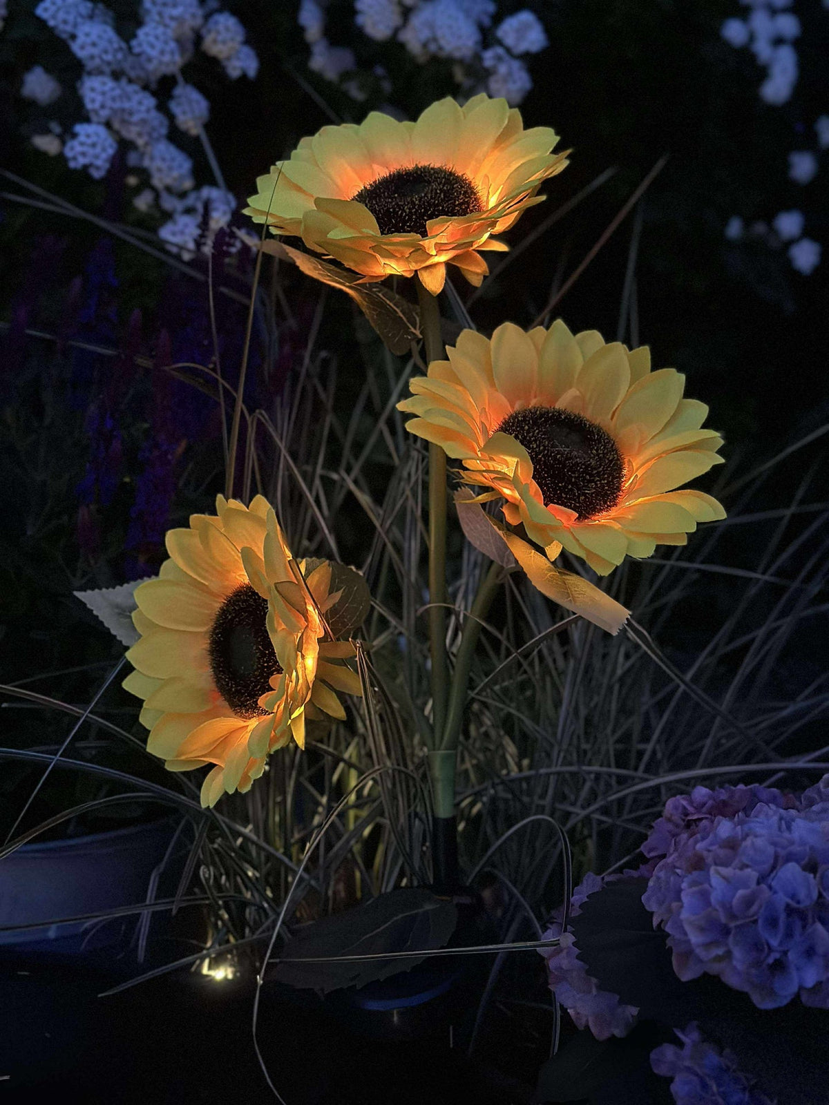 Zonnebloem op zonne-energie
