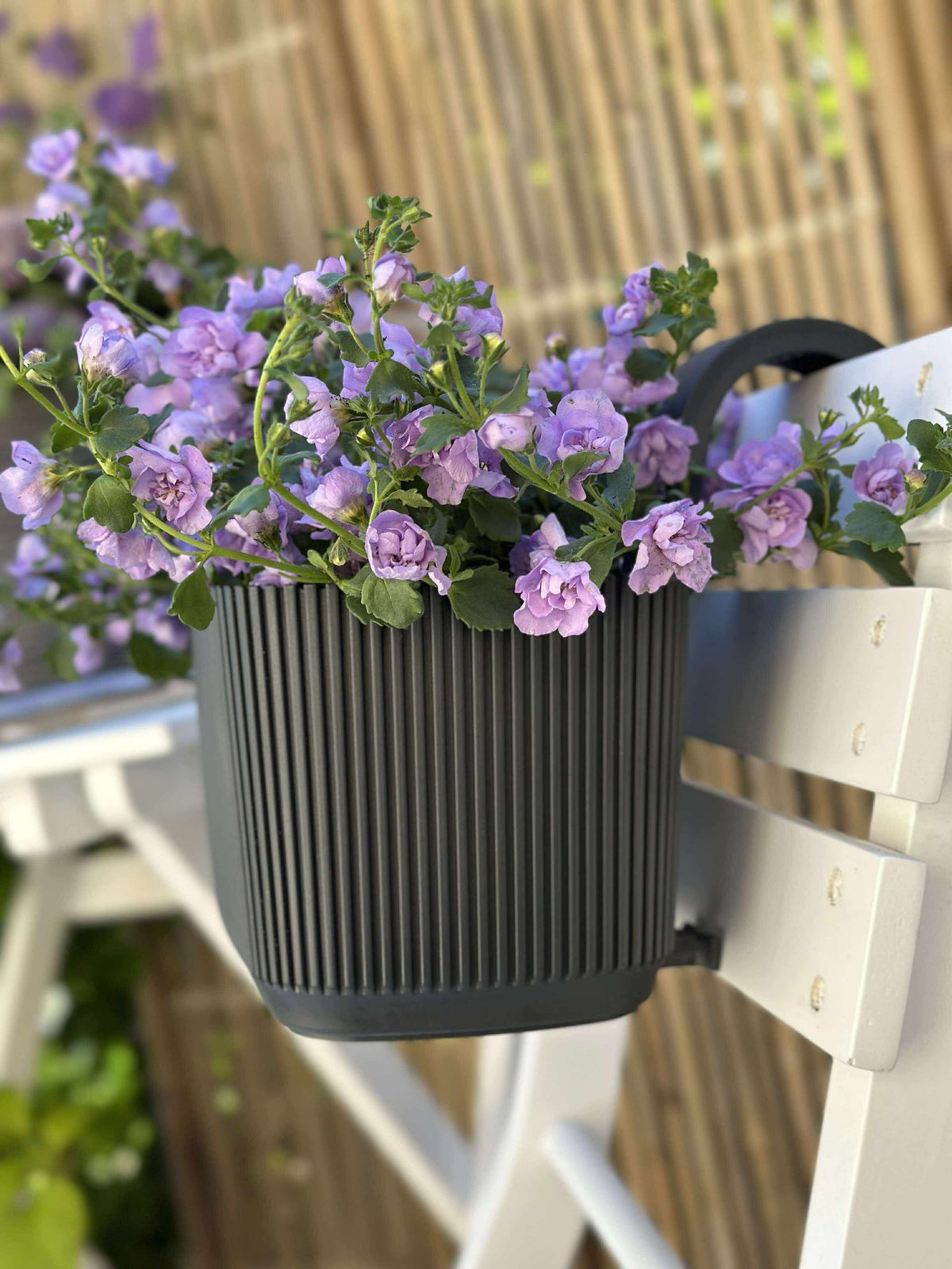 Plantenbak met ophanging - Antraciet