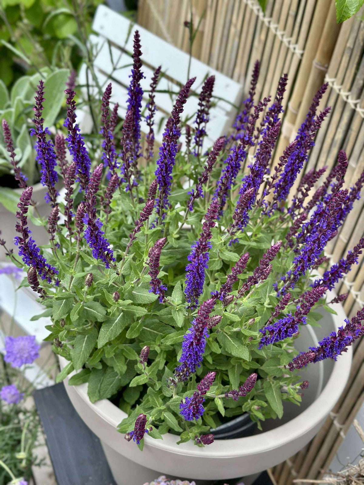 Tuinpot - Gerecycled Beige Dia 35 cm