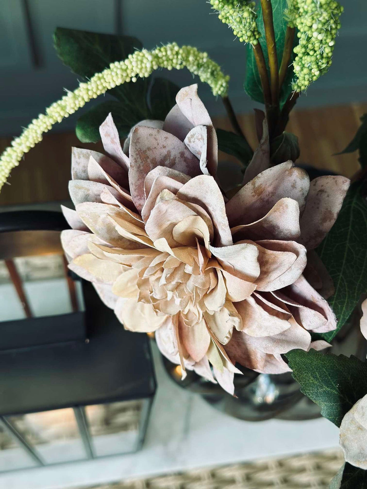 Dahlia-stengel