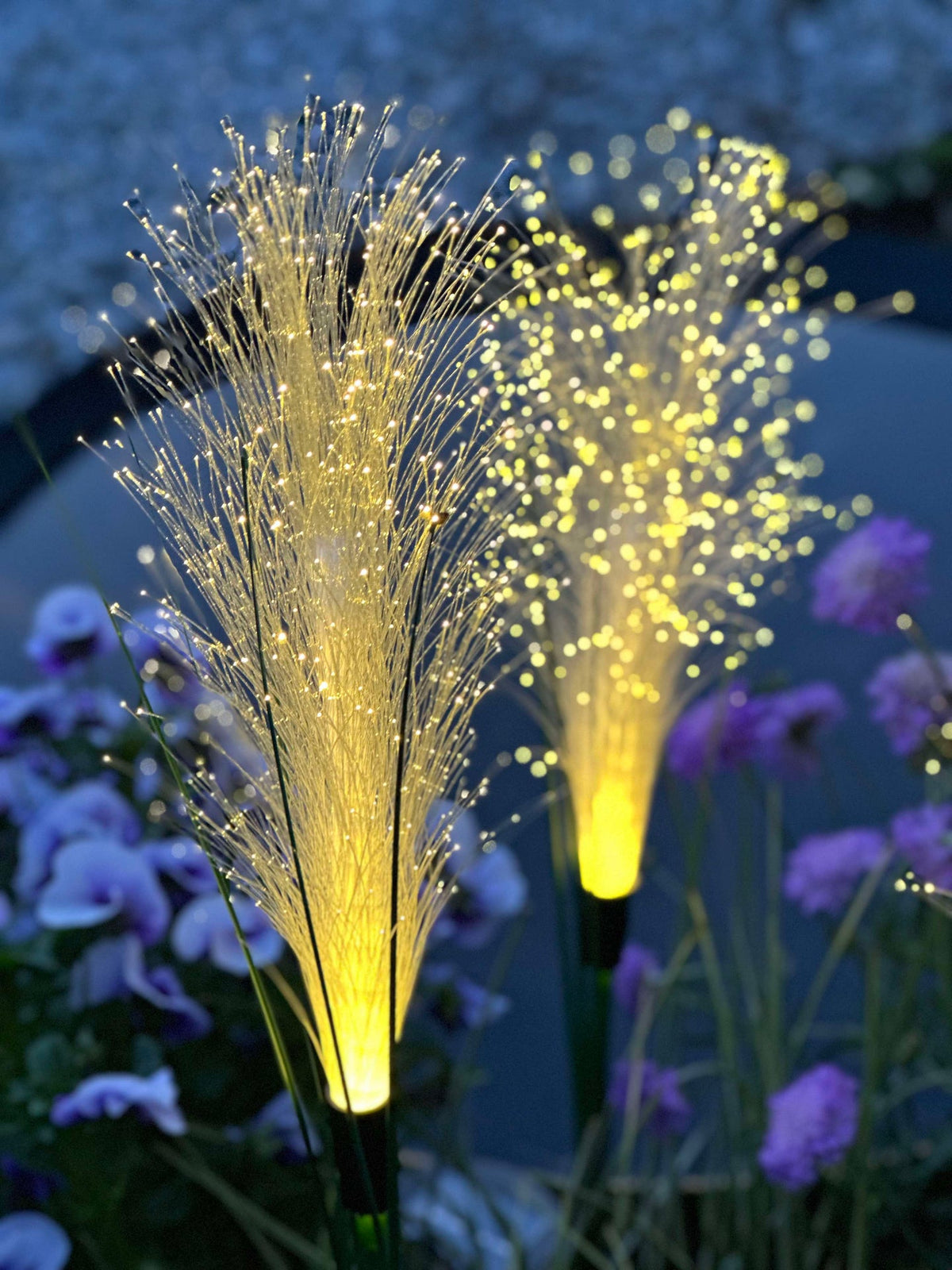 Pampas met zonnecellen