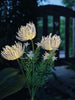 Bloem op zonne-energie - Spider Lili wit