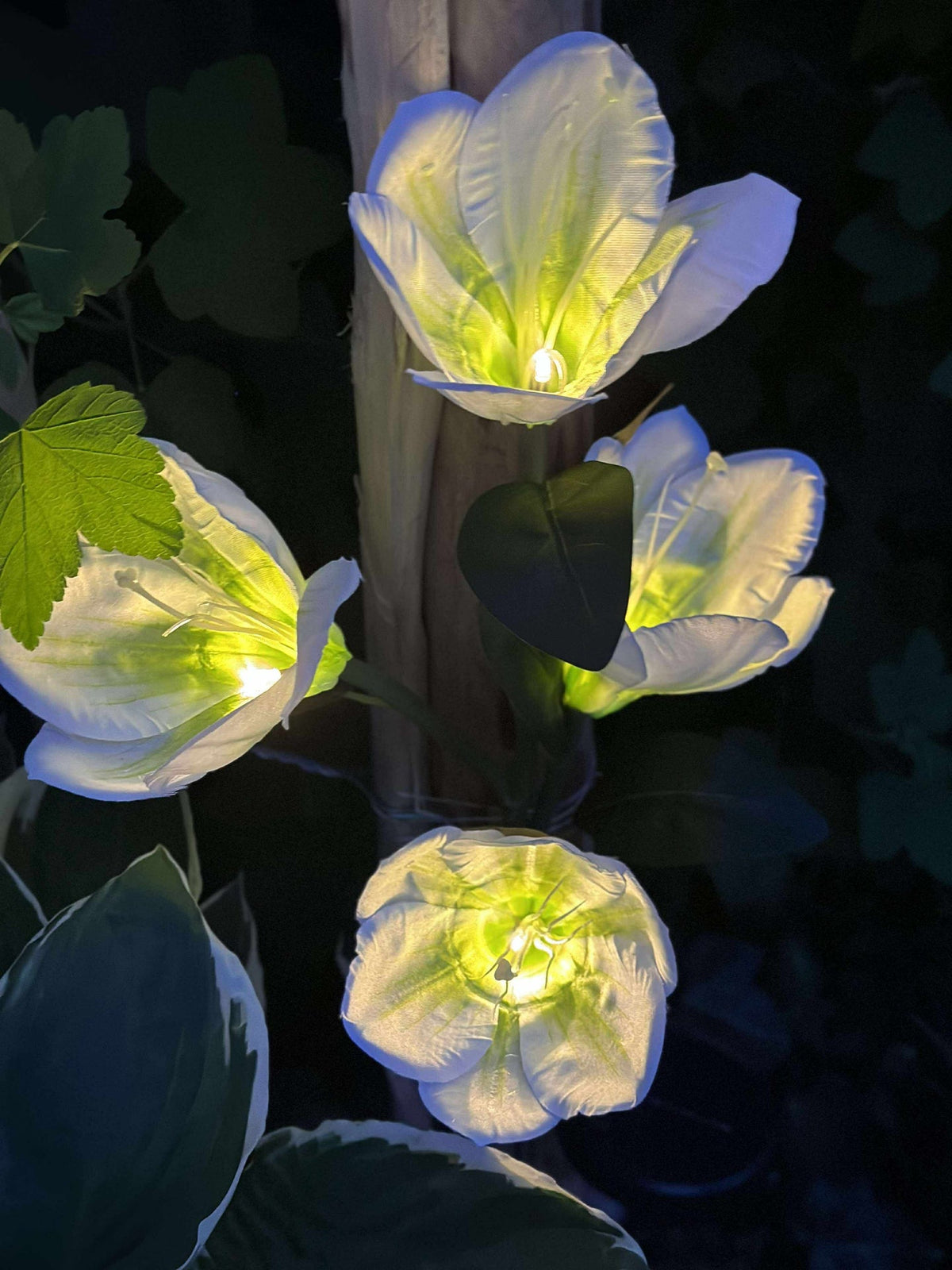 Magnolia met zonnepanelen - Wit