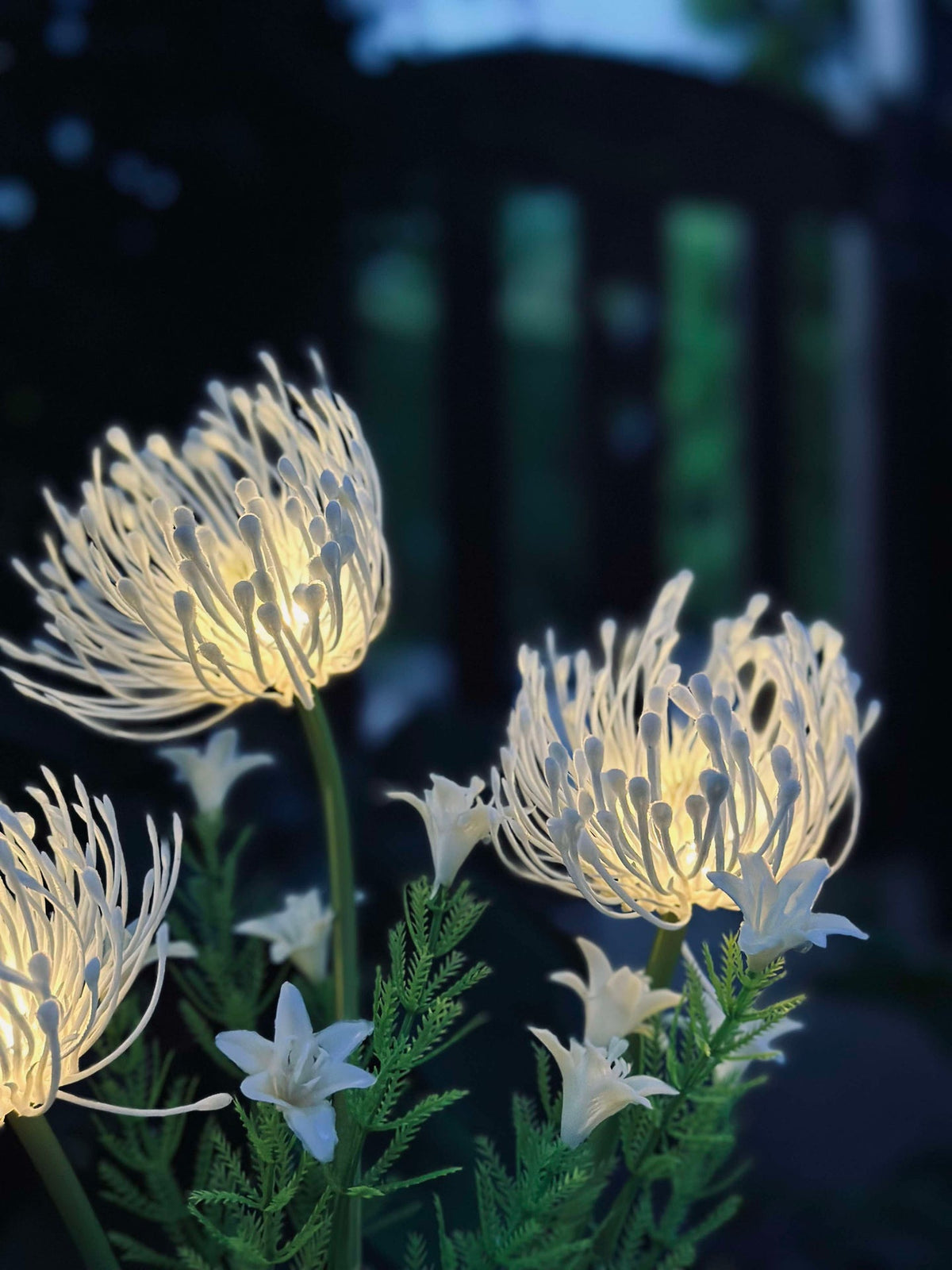 Bloem op zonne-energie - Spider Lili wit