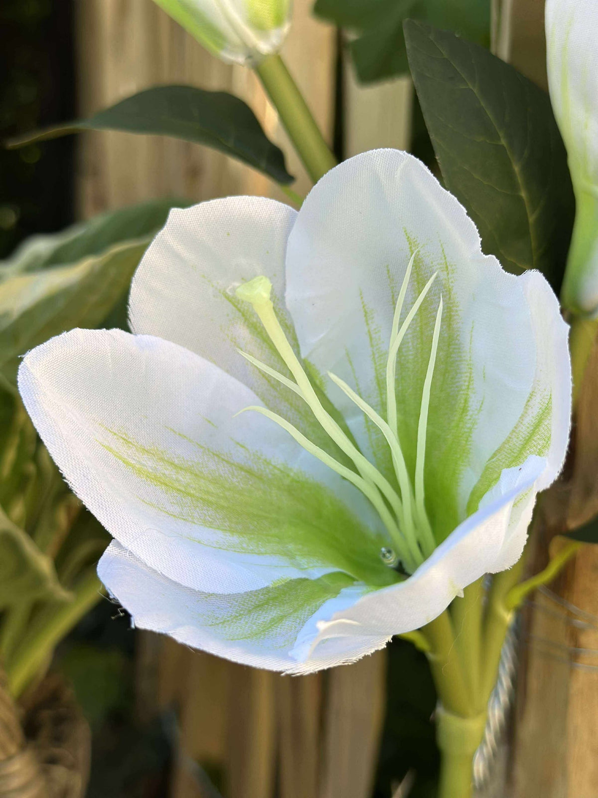 Magnolia met zonnepanelen - Wit
