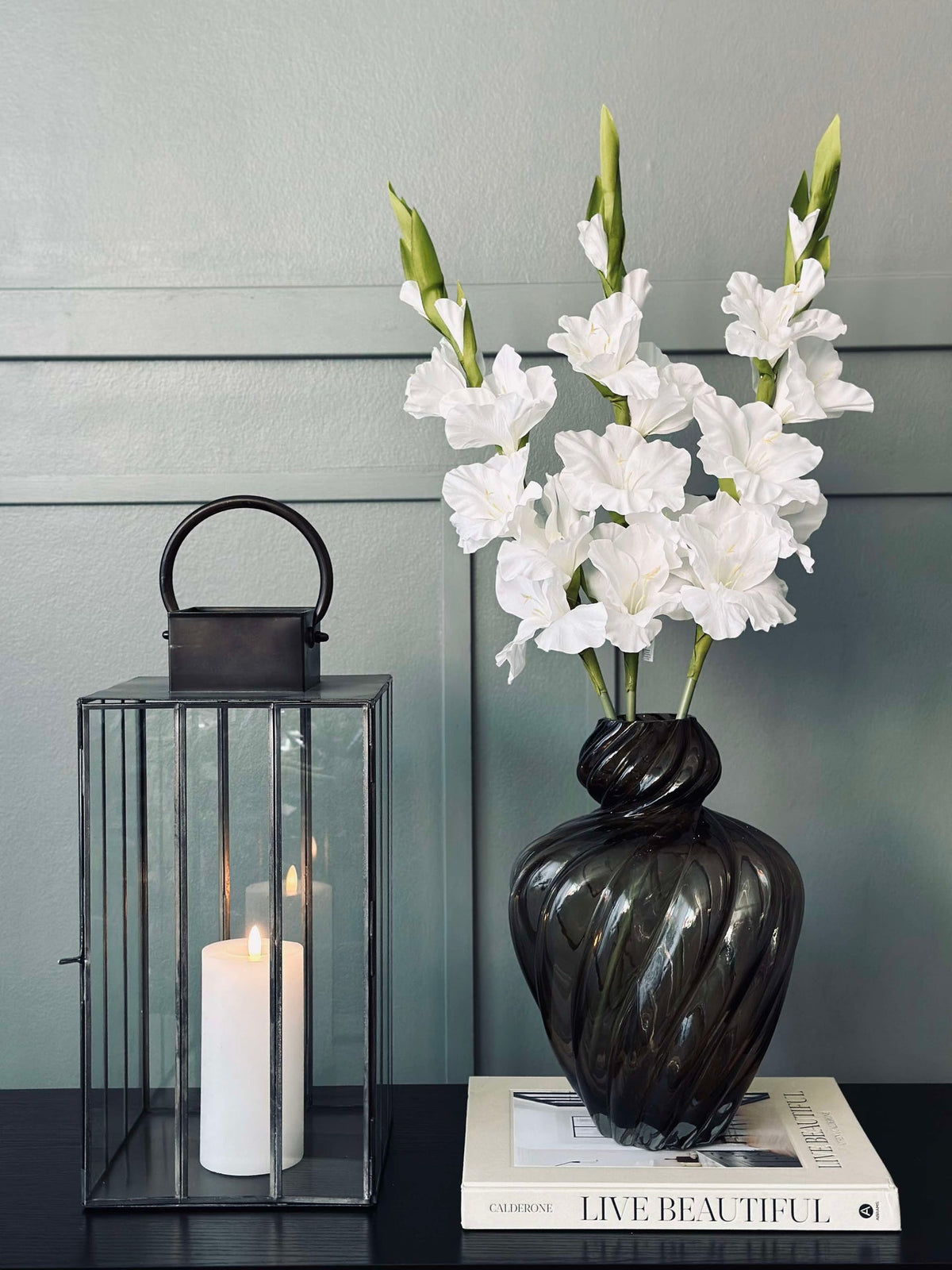 Gladiolus steel