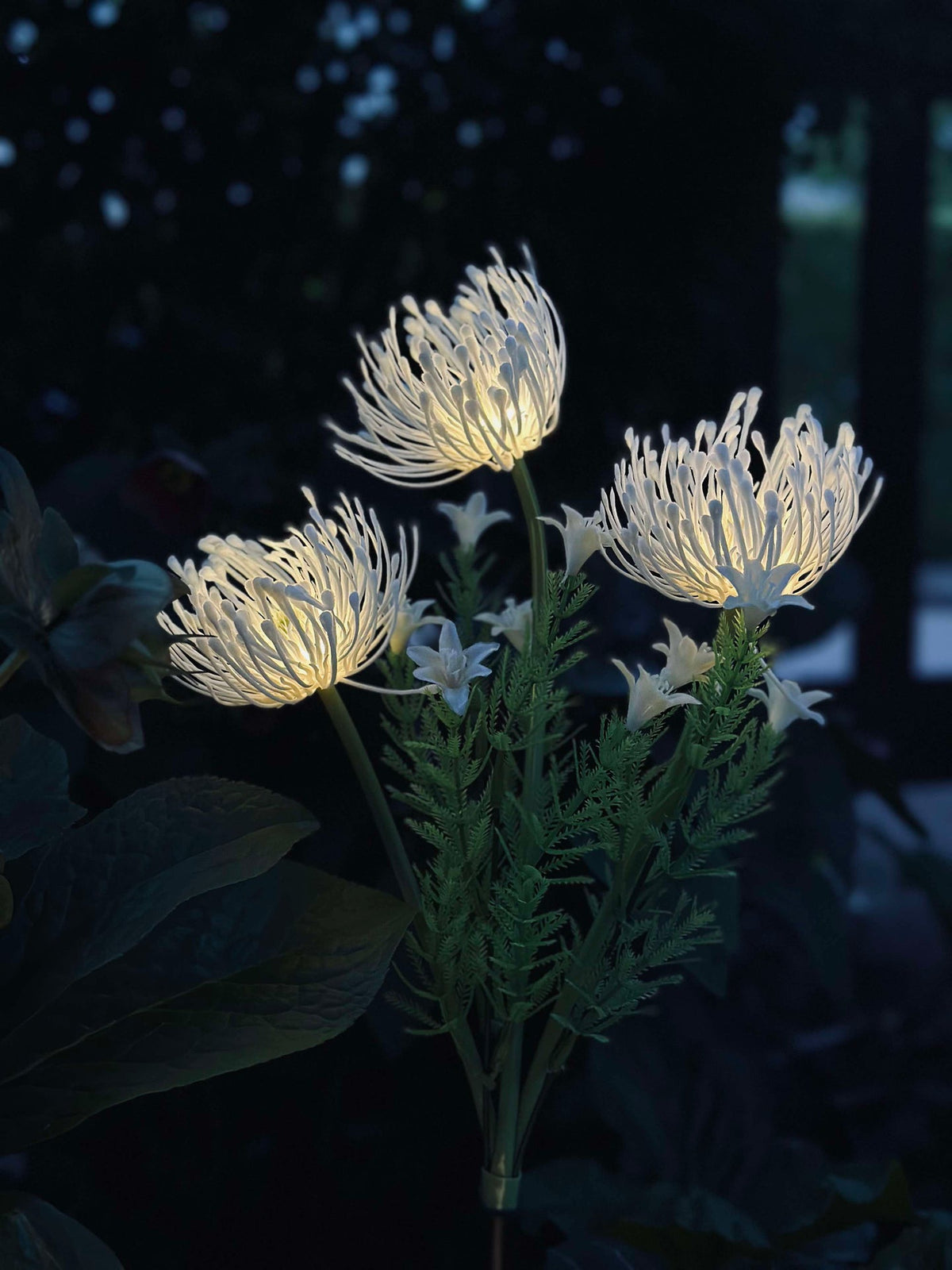 Bloem op zonne-energie - Spider Lili wit