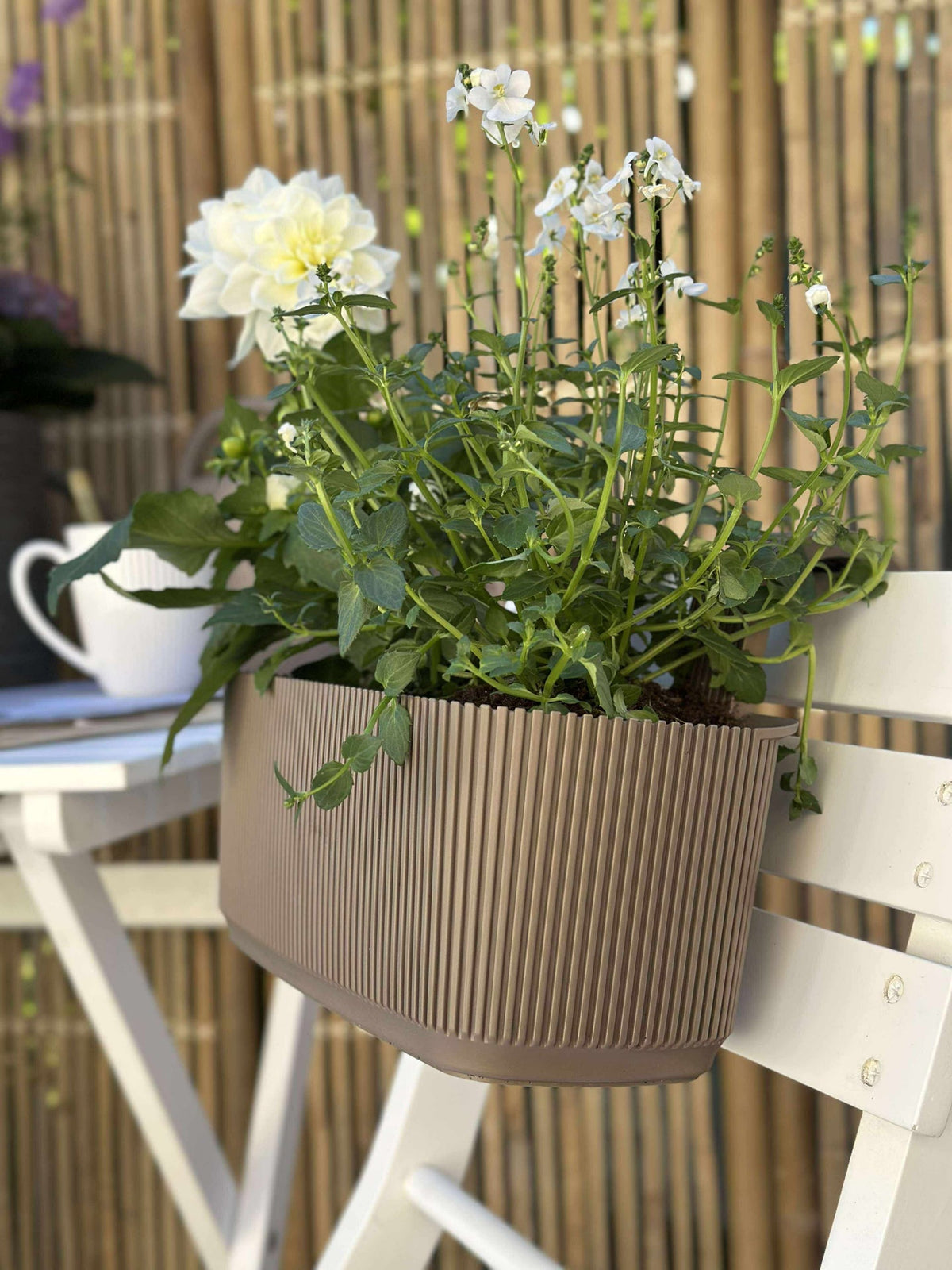 Plantenbak met ophanging - Beige