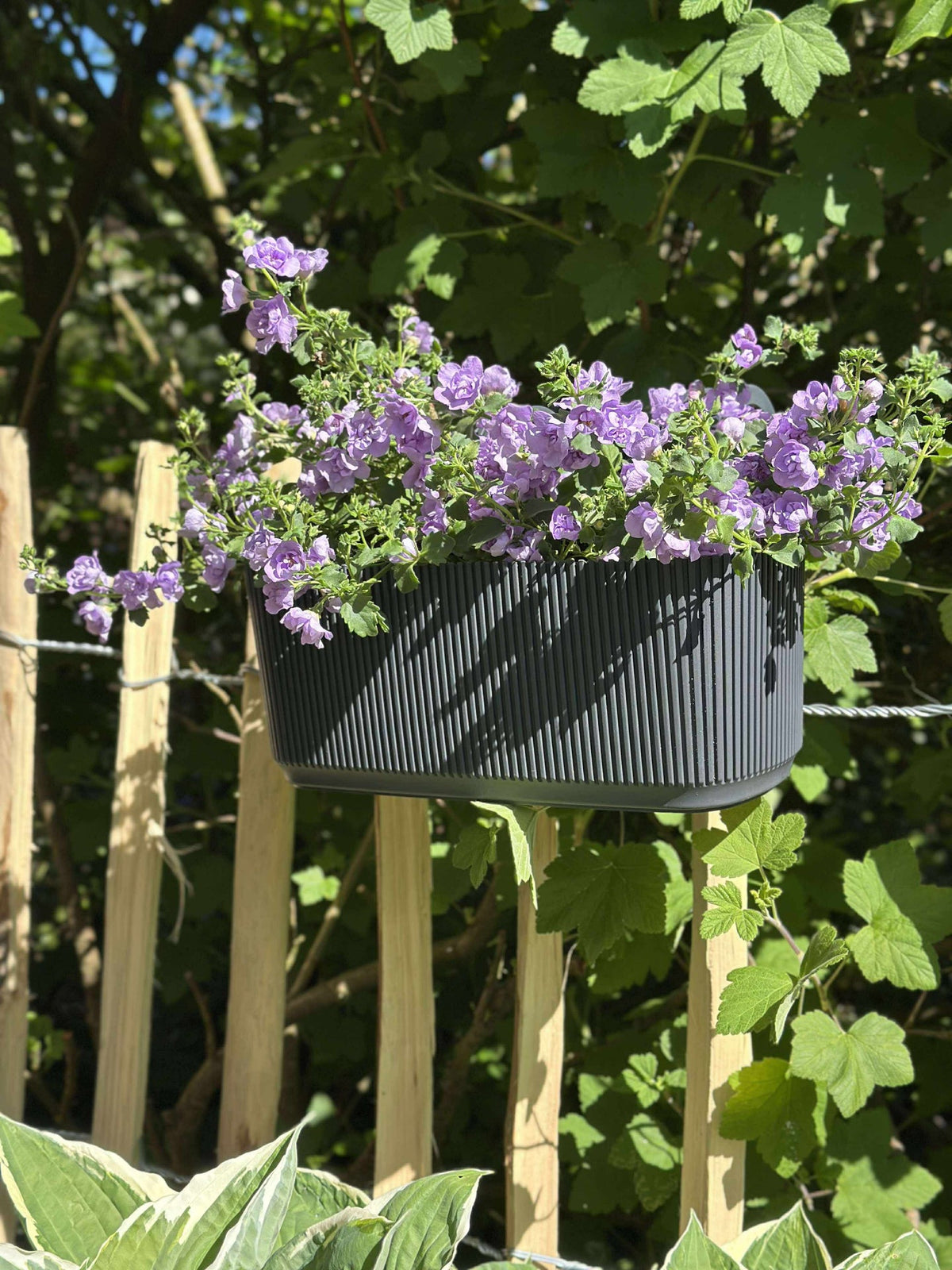 Plantenbak met ophanging - Antraciet