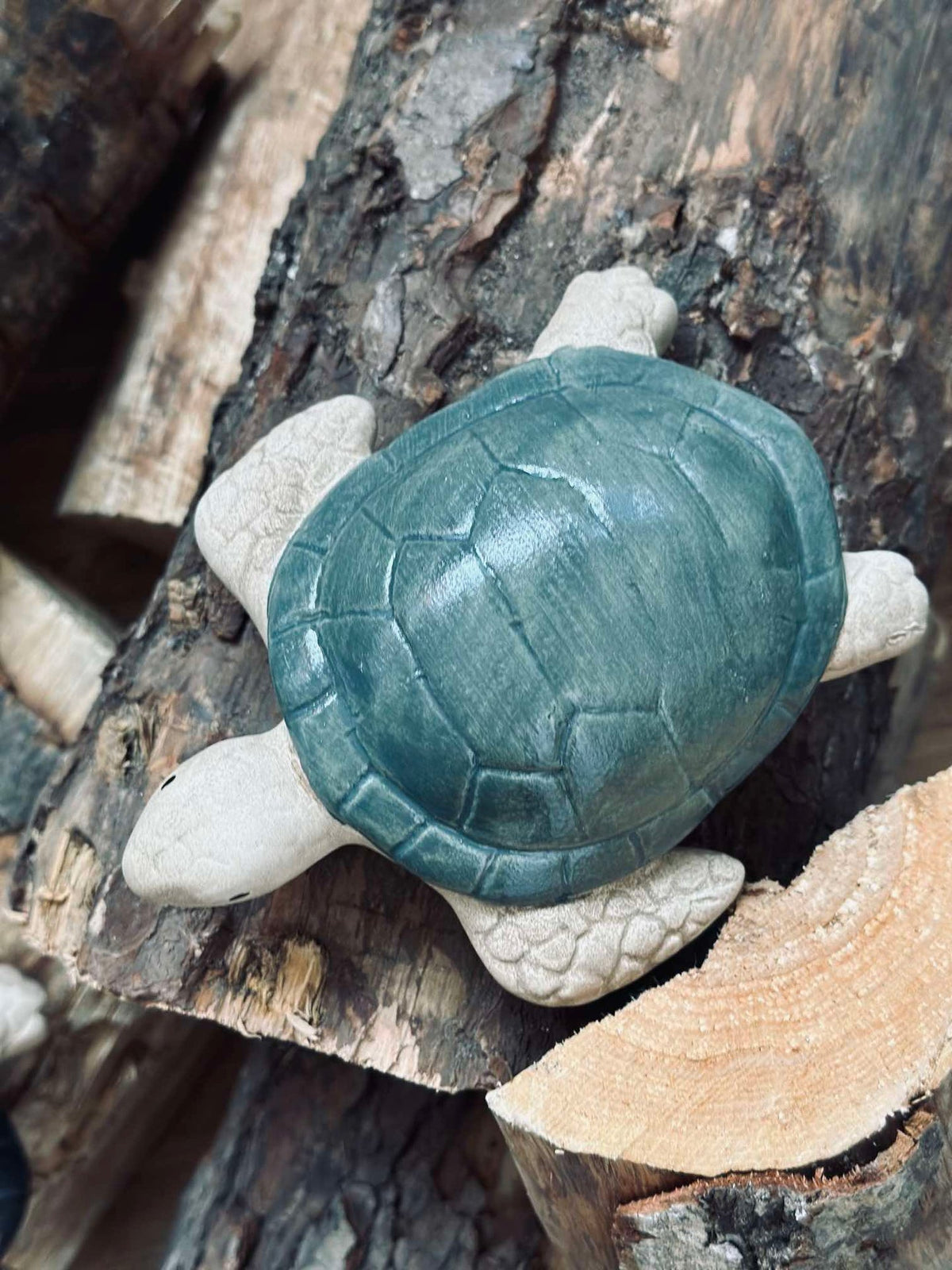 Schildpad MIX