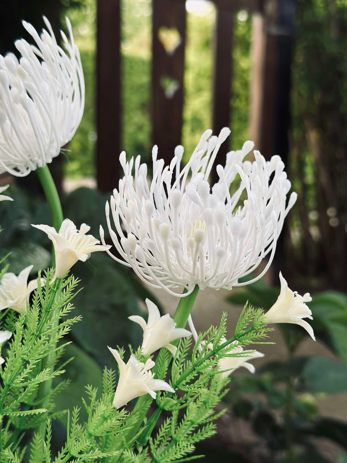 Bloem op zonne-energie - Spider Lili wit