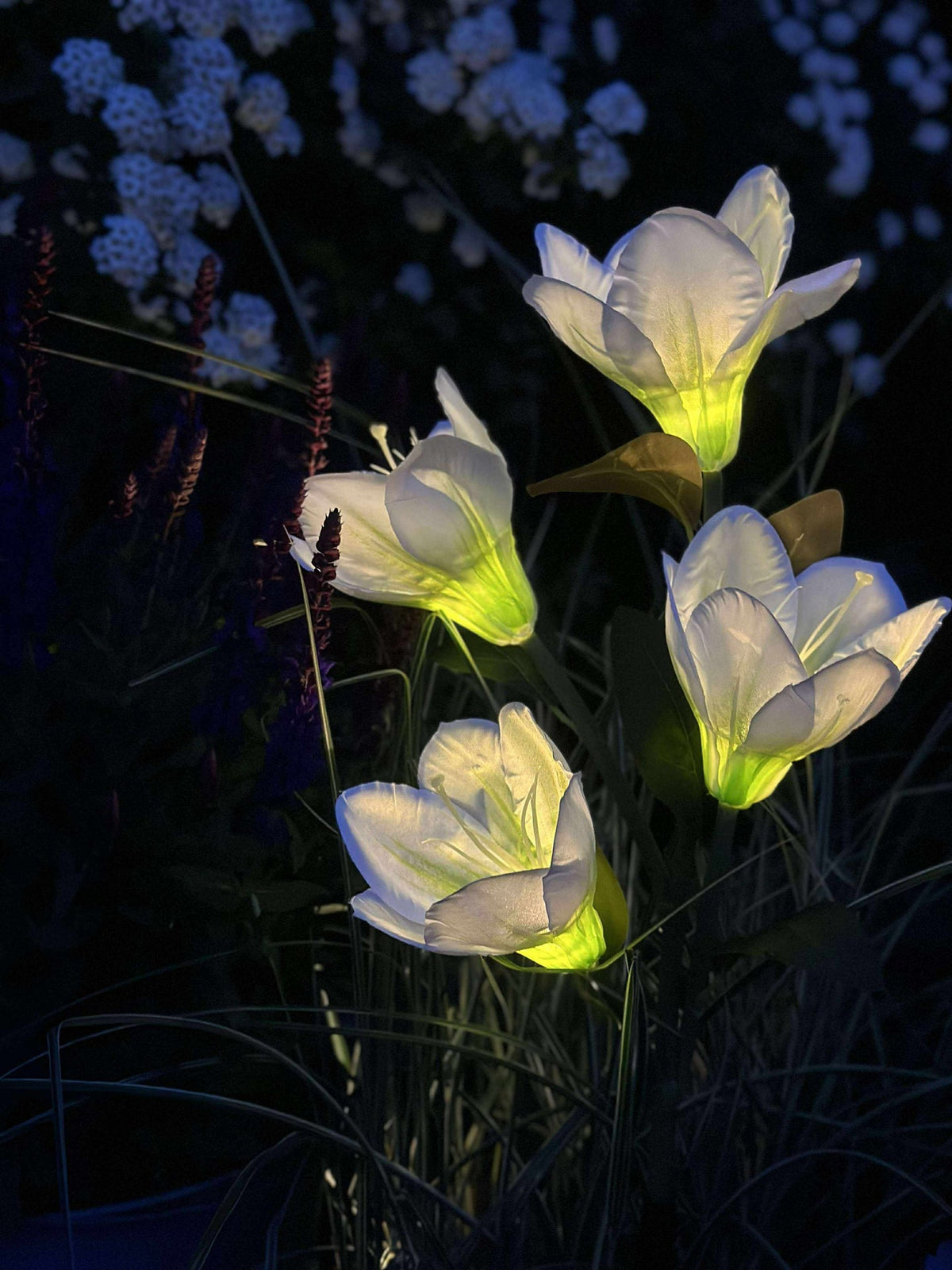 Magnolia met zonnepanelen - Wit