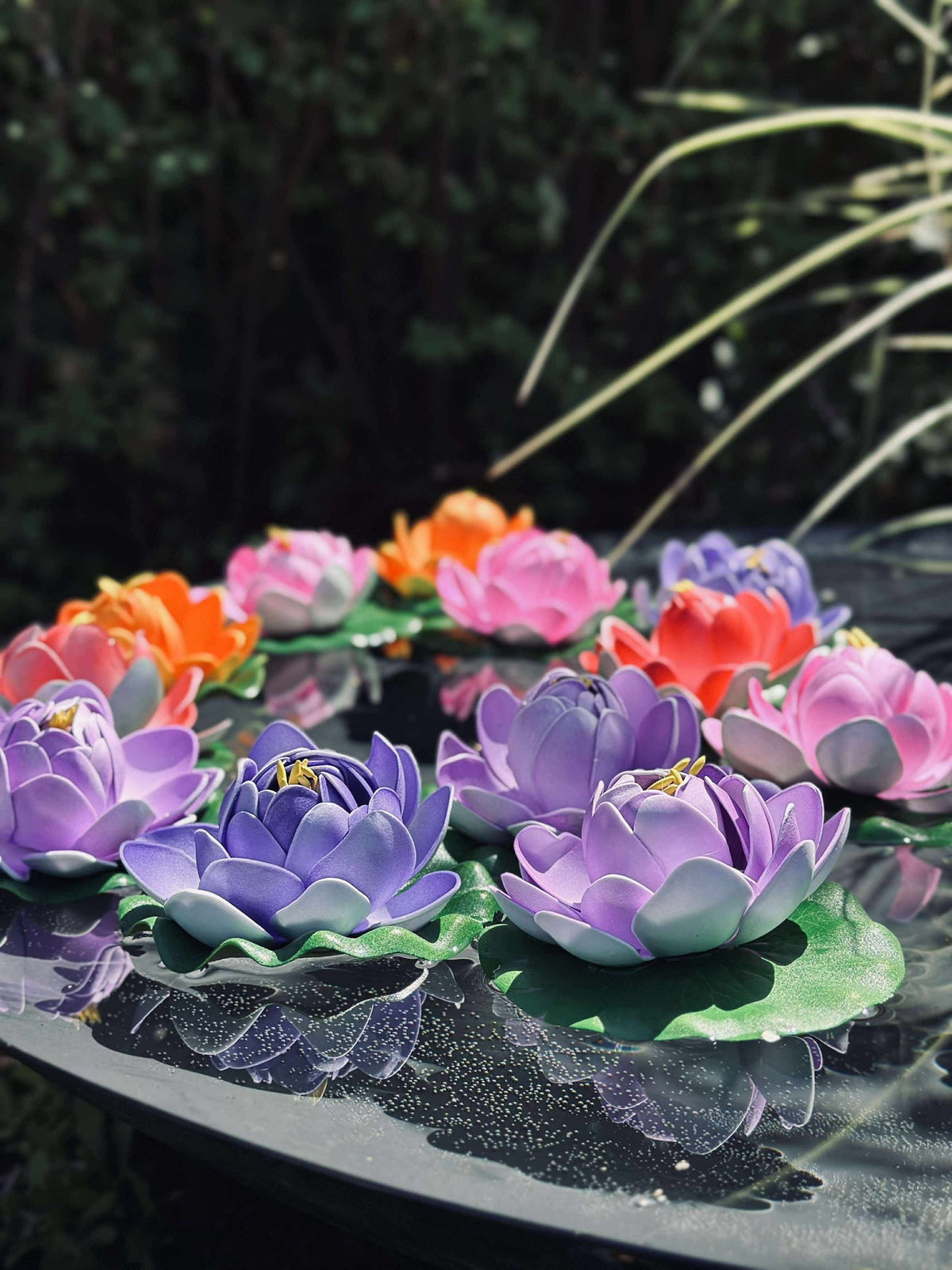 Lotus - Meerdere kleuren