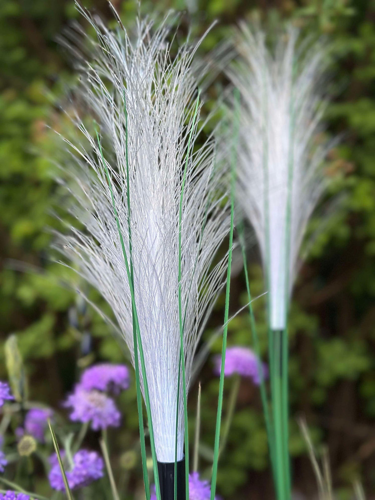 Pampas met zonnecellen