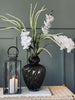 Orchideeënstengel