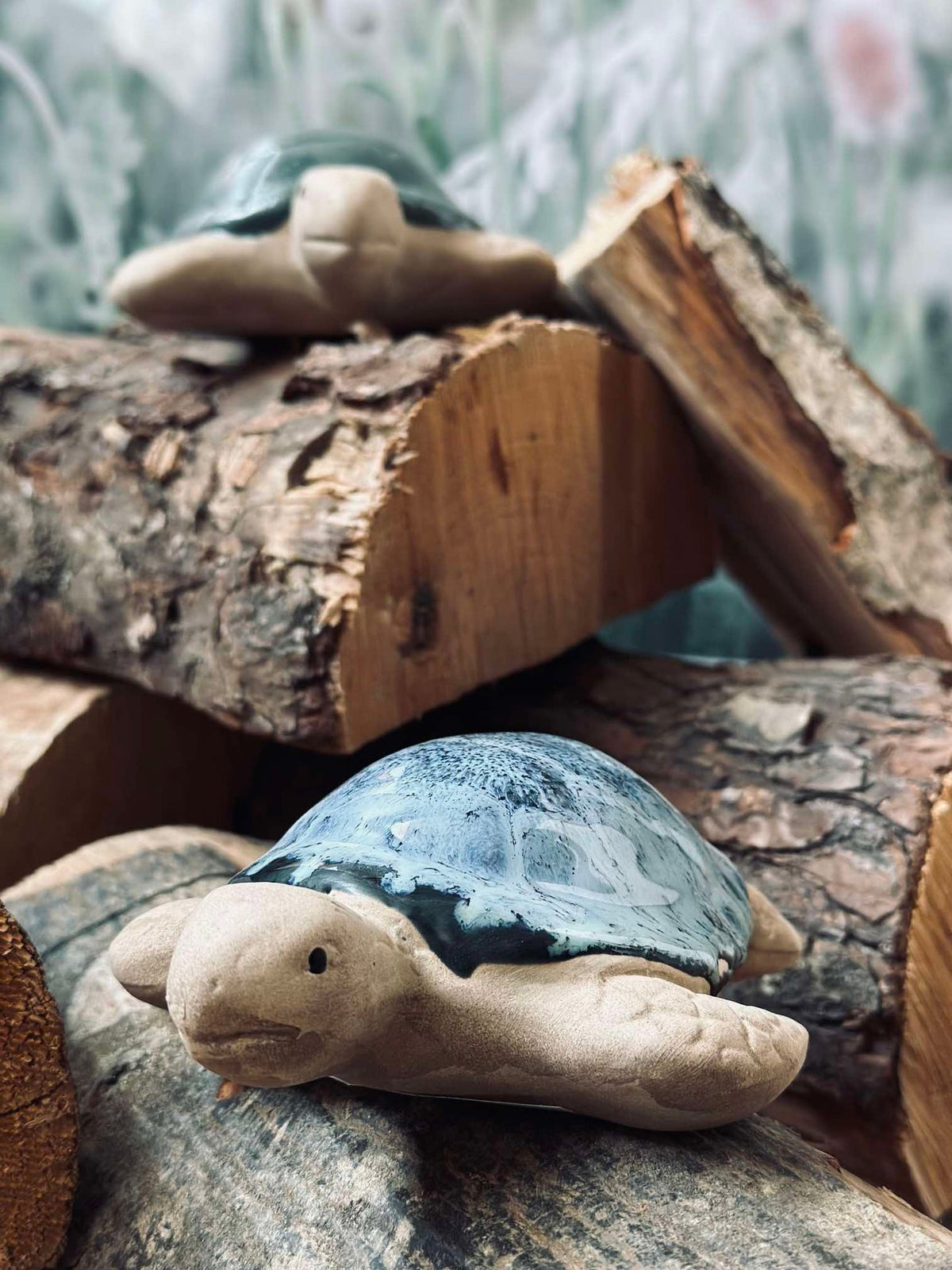 Schildpad MIX