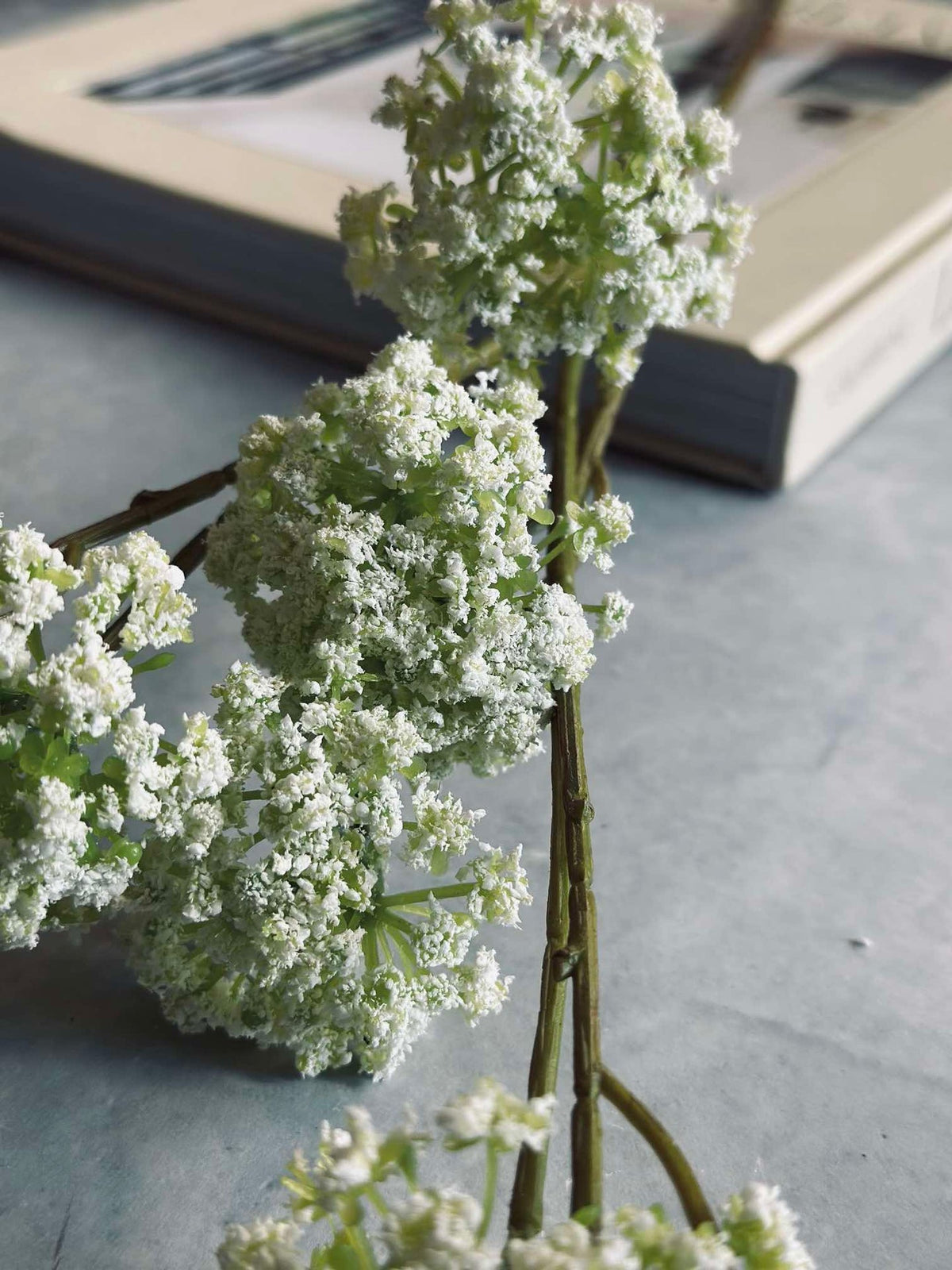 Wild flower steel