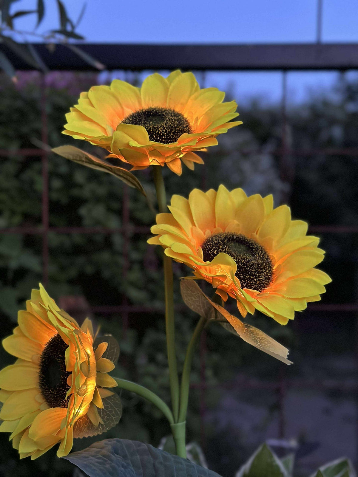 Zonnebloem op zonne-energie