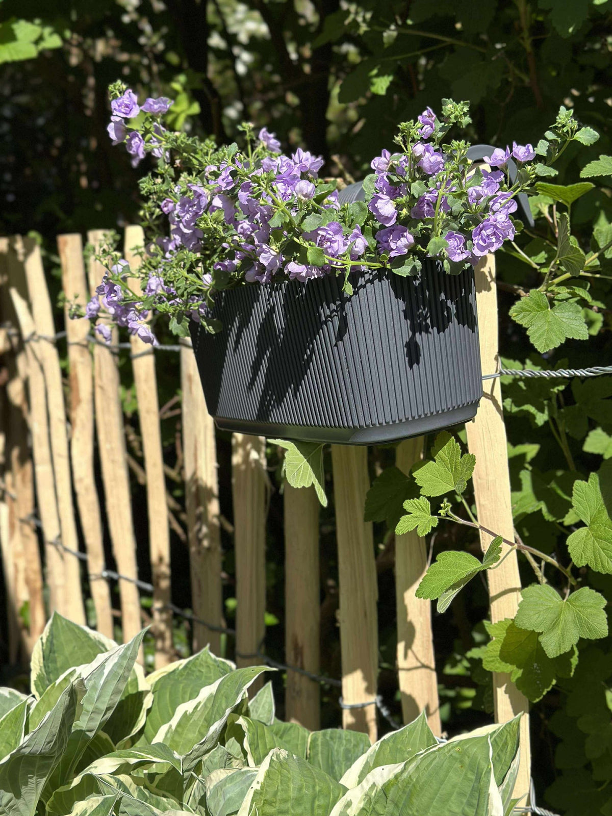 Plantenbak met ophanging - Antraciet