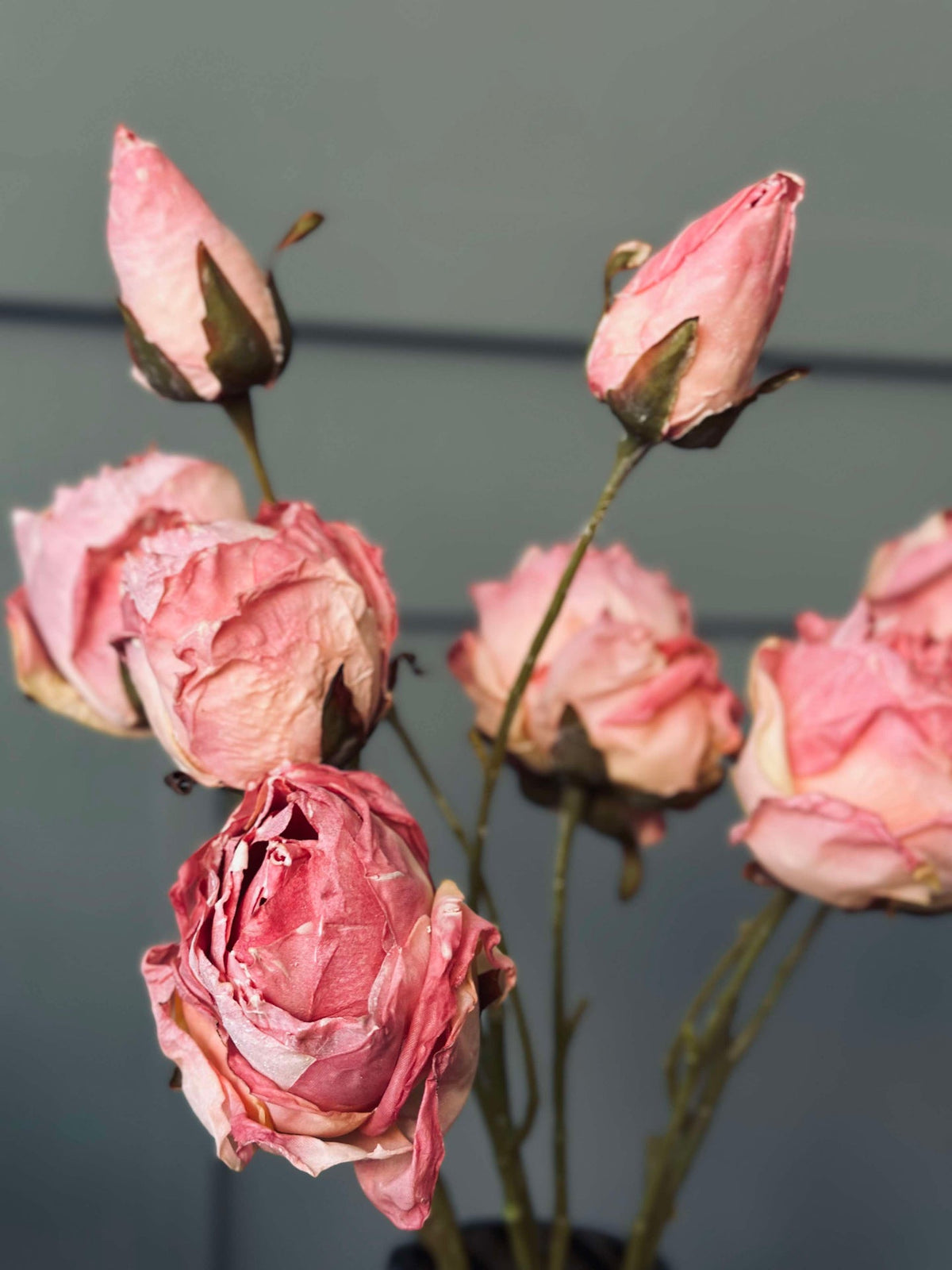 Rose tak