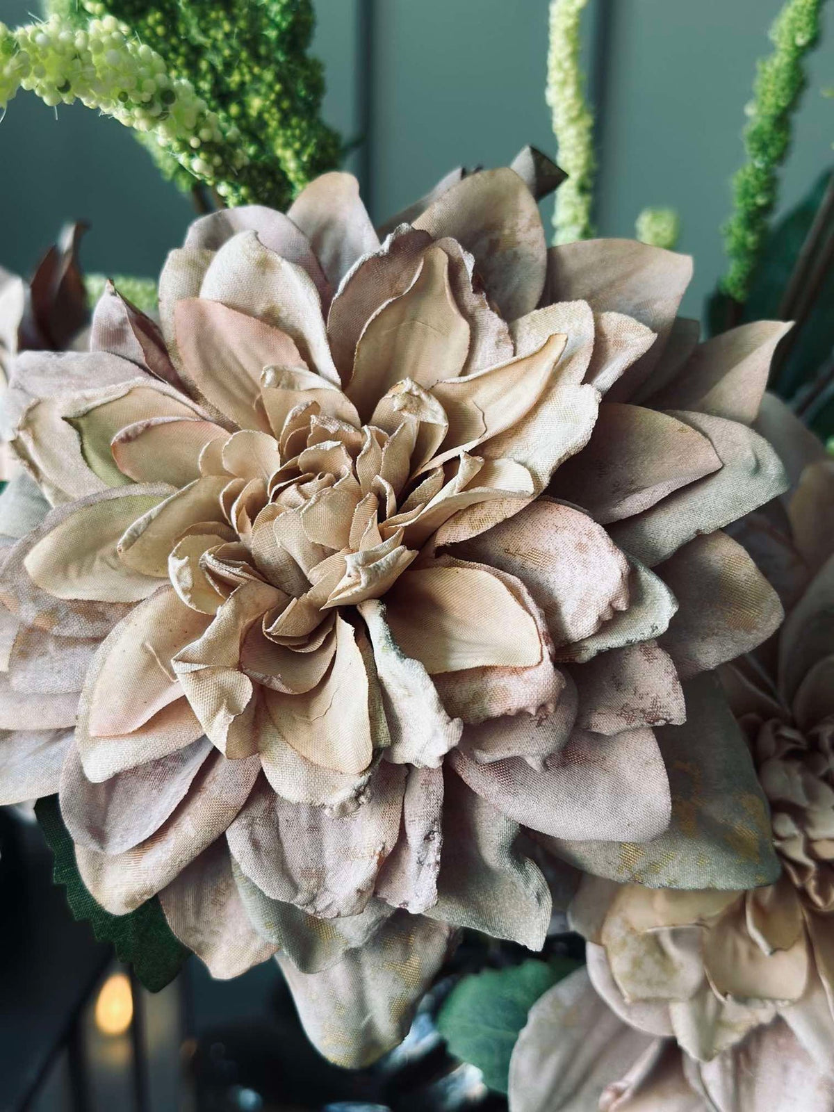 Dahlia-stengel