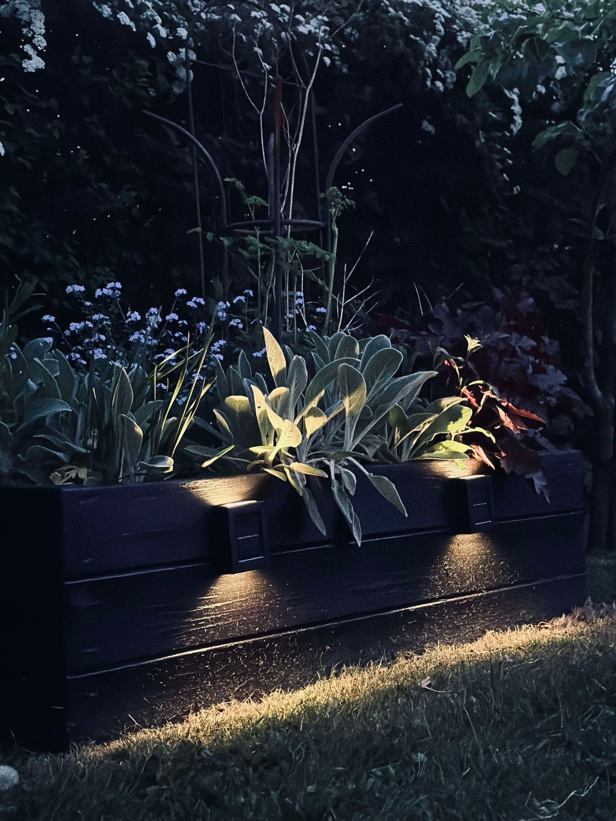 Aura Solar Lamp - 2-pack
