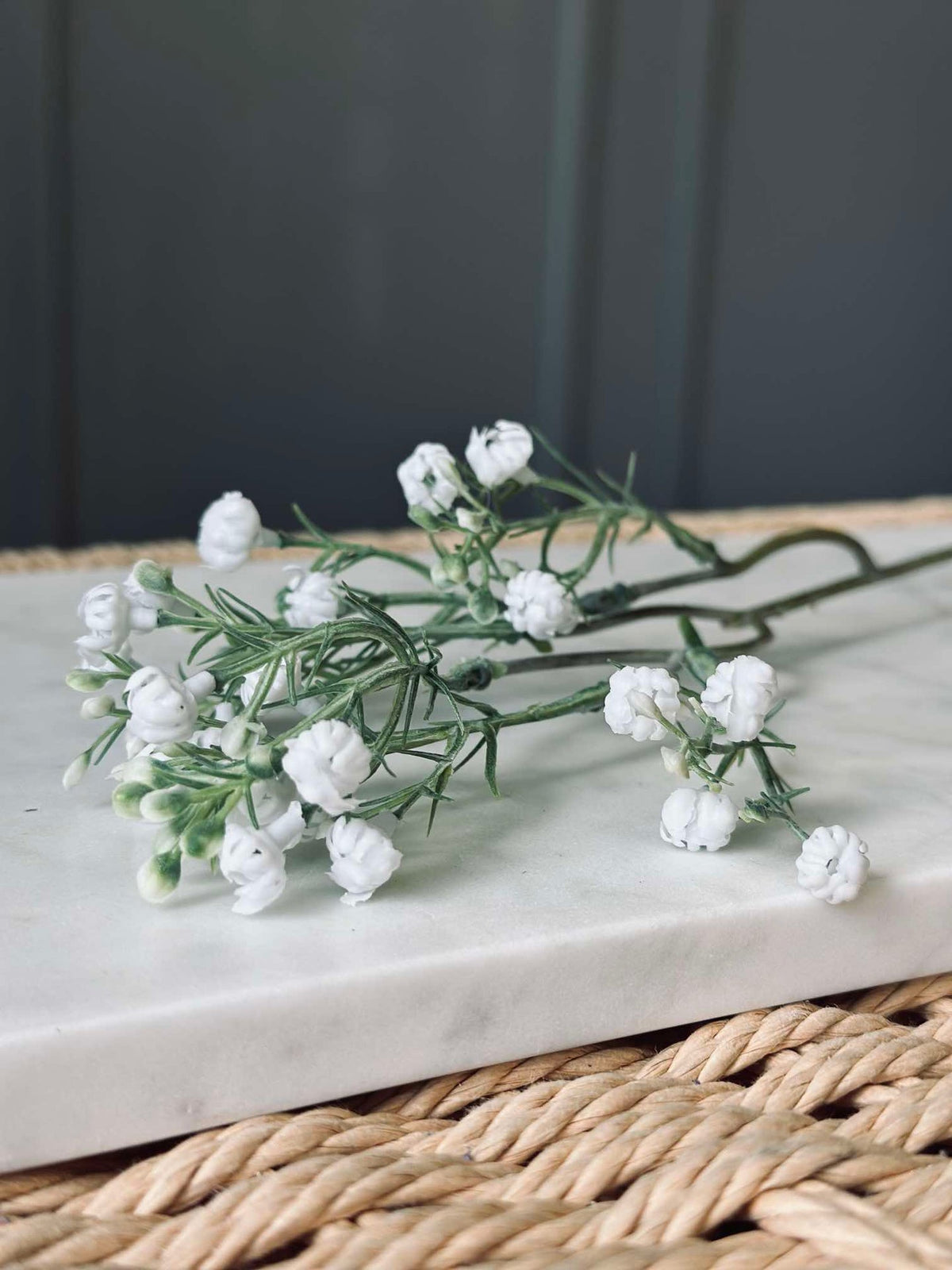 Sluierbloemstengel